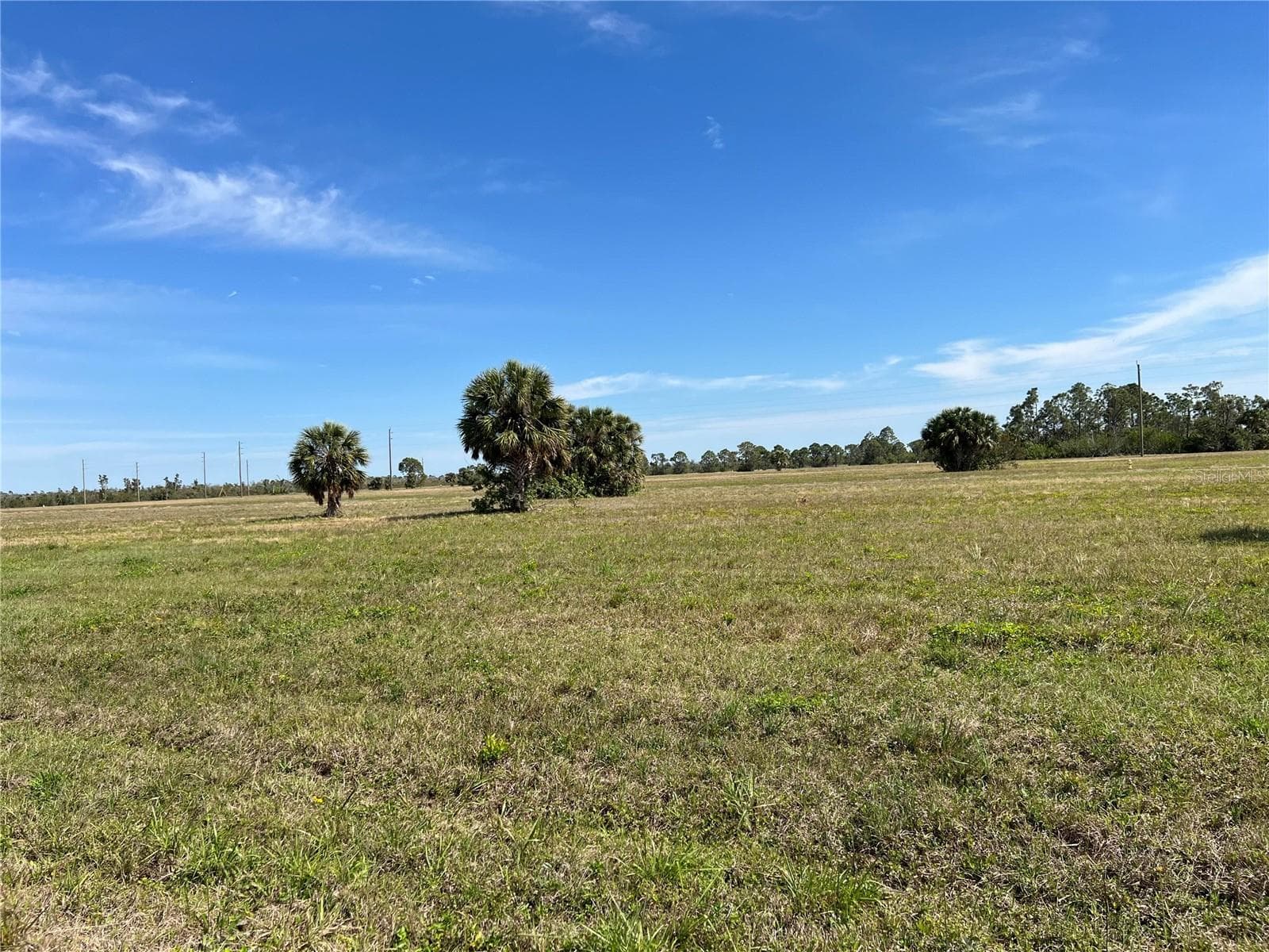 Land at 12368 GREENLING WAY, PLACIDA, photo 9 of 13