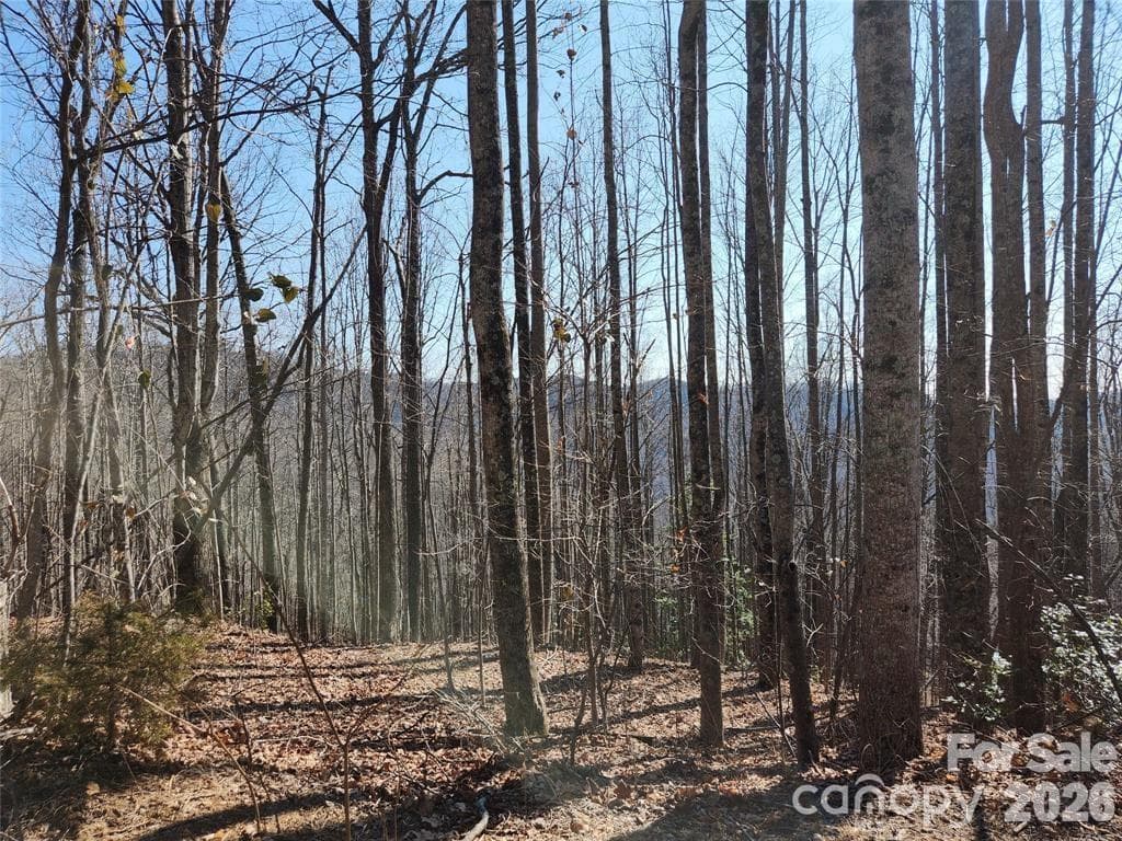 Winter view - Lot 78&79 McKenzie Way South South, Old Fort