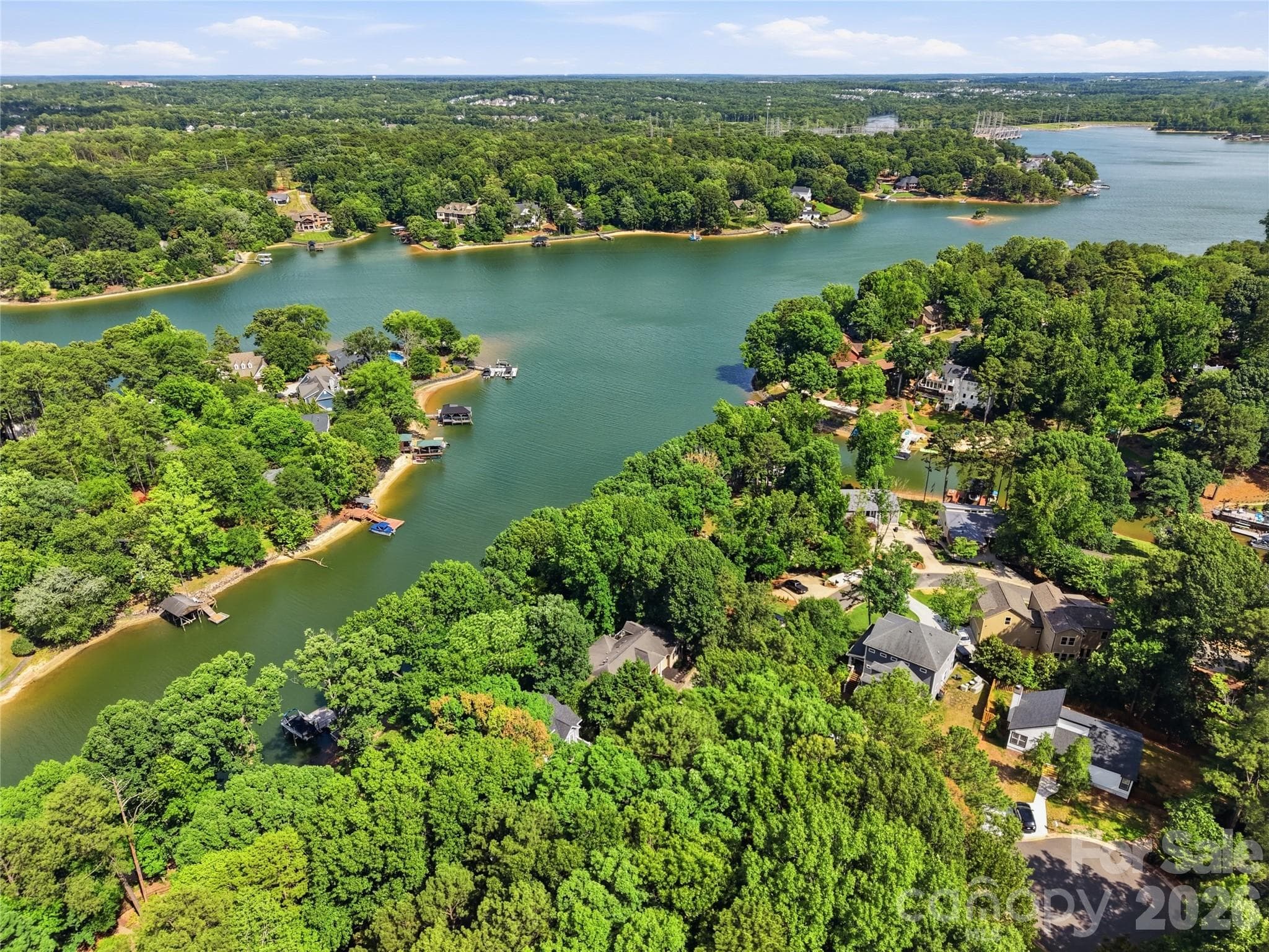 Single Family Residence at 16121 Tana Tea Circle, Tega Cay, photo 3 of 61