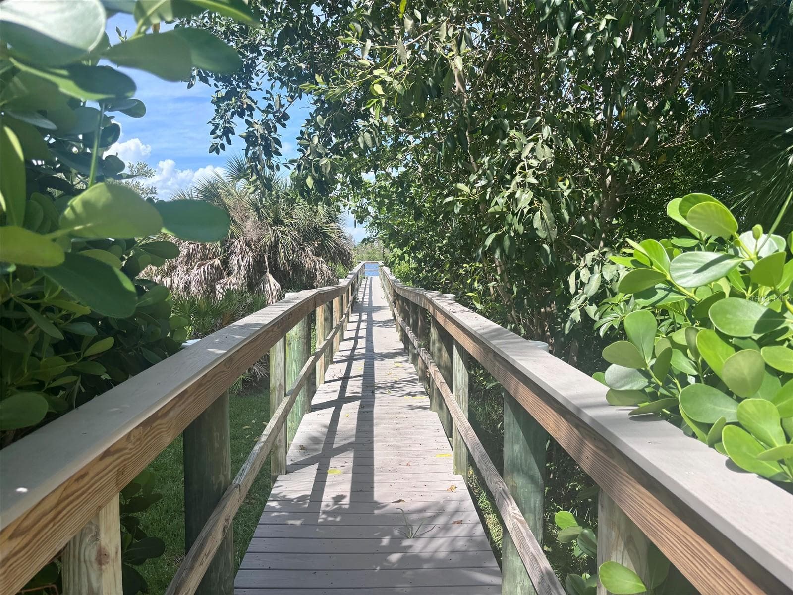Path to Kayak launch - 10307 CORAL LANDINGS LN #11, PLACIDA