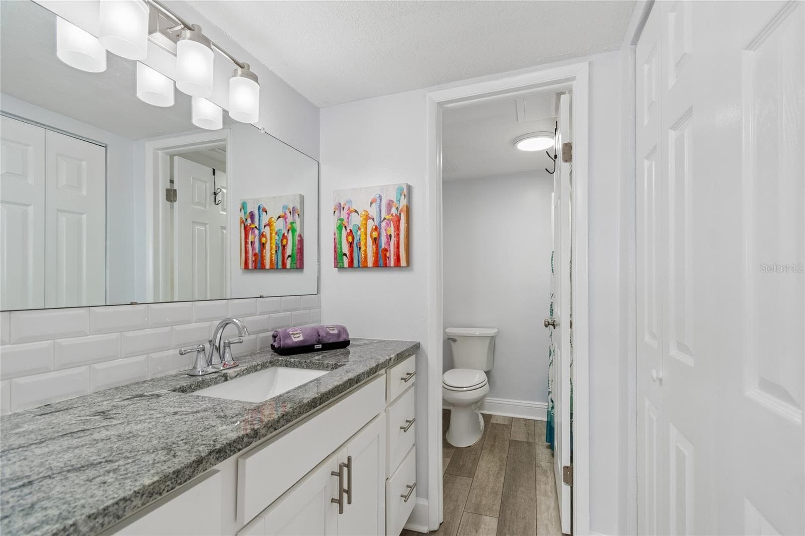 Entry to Primary Bath - 5980 SHORE BLVD S #909, GULFPORT