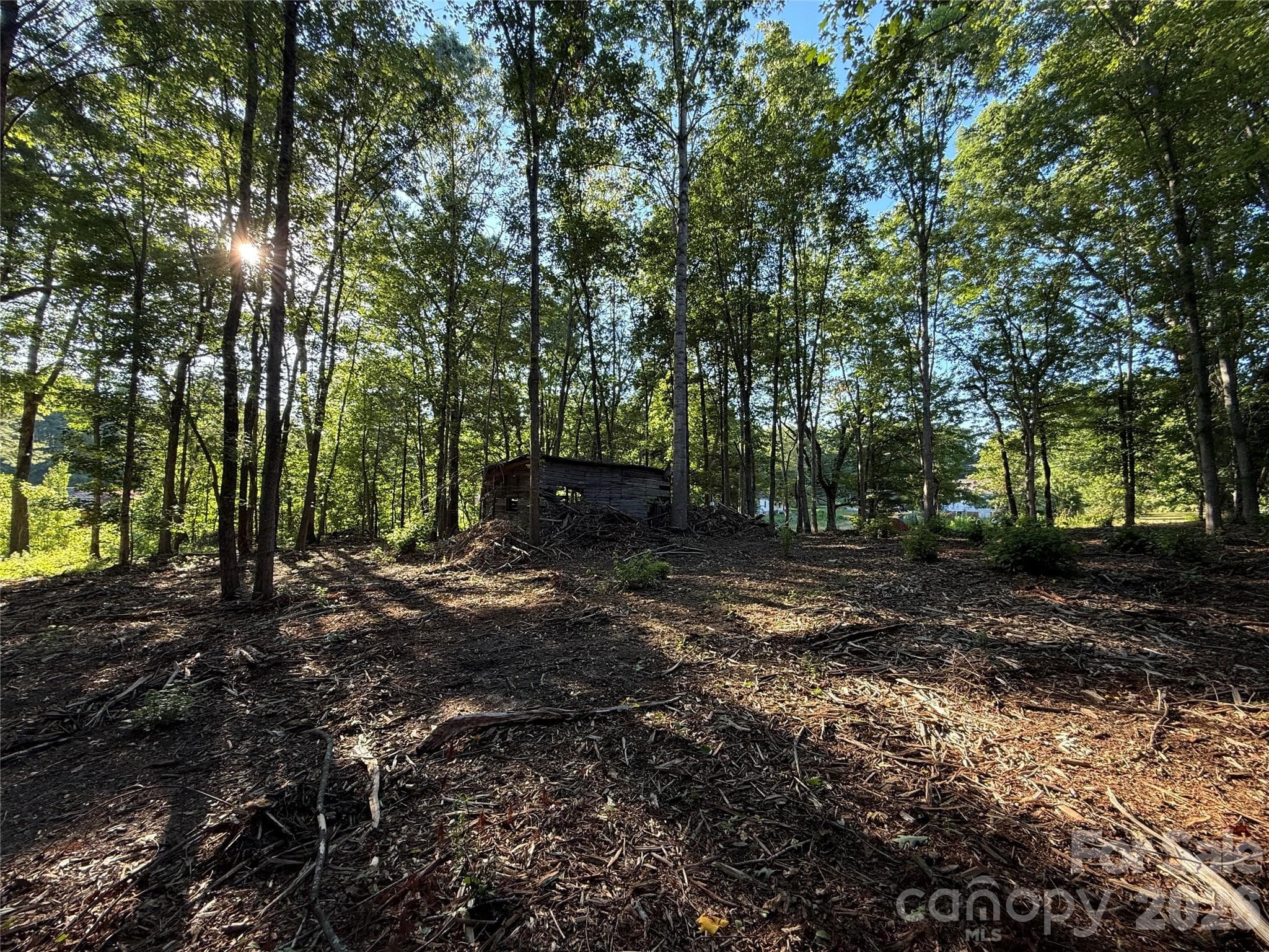 Lot at Lenoir, photo 2 of 4