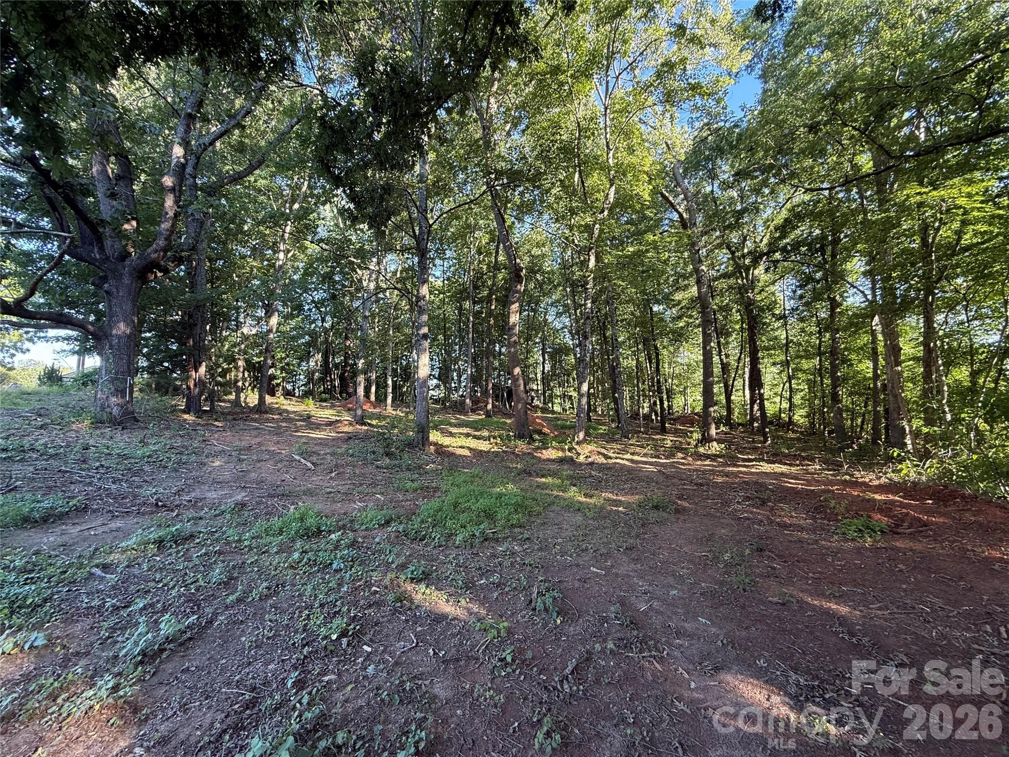 Lot at Lenoir, photo 3 of 4