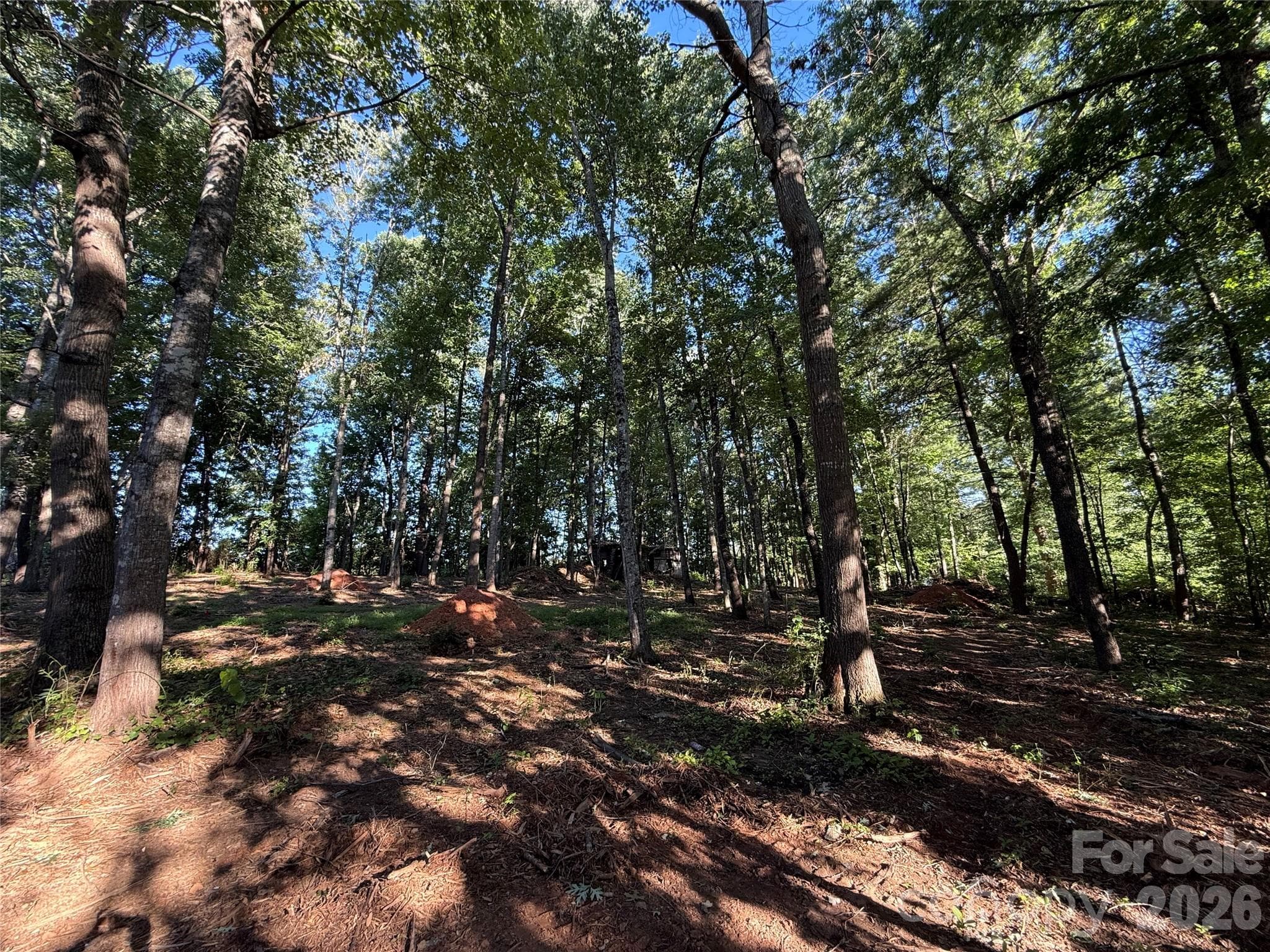 Lot at Lenoir, photo 4 of 4