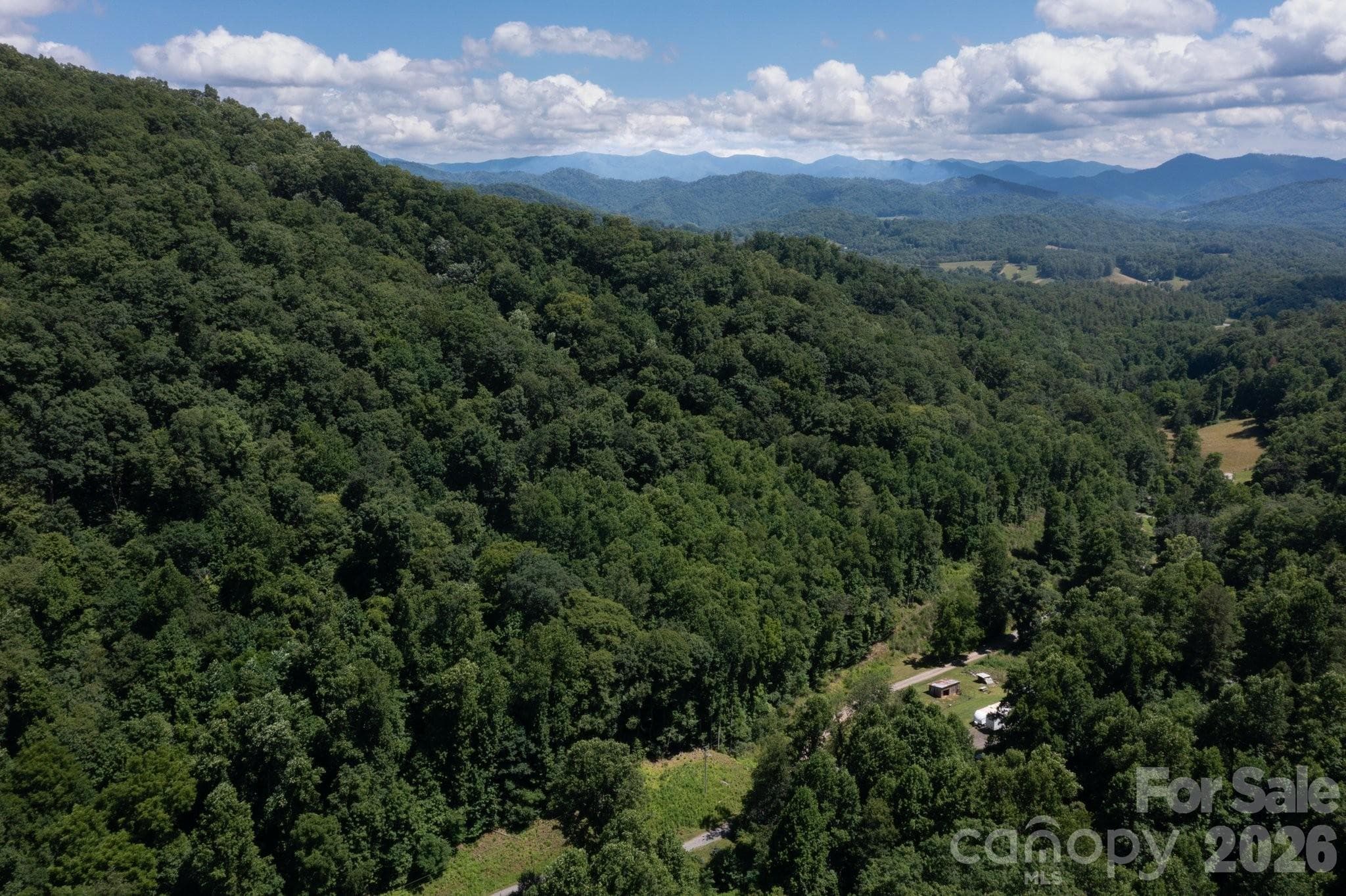 Acreage at TBD Wooded Mountain Trail, Mars Hill, photo 2 of 19