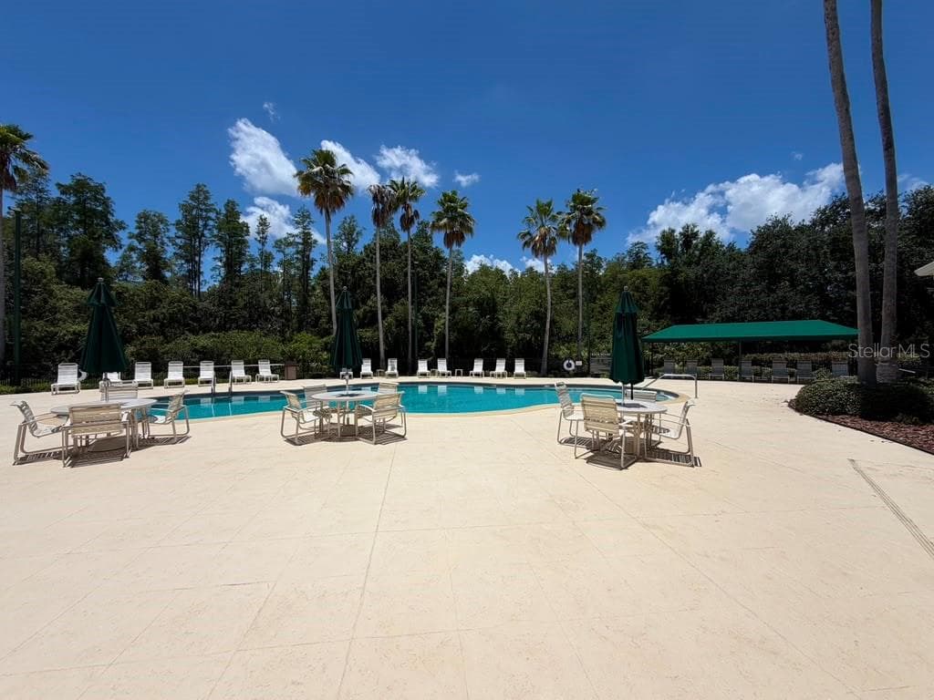 Single Family Residence at 18014 ARBOR CREST DR, TAMPA, photo 41 of 43