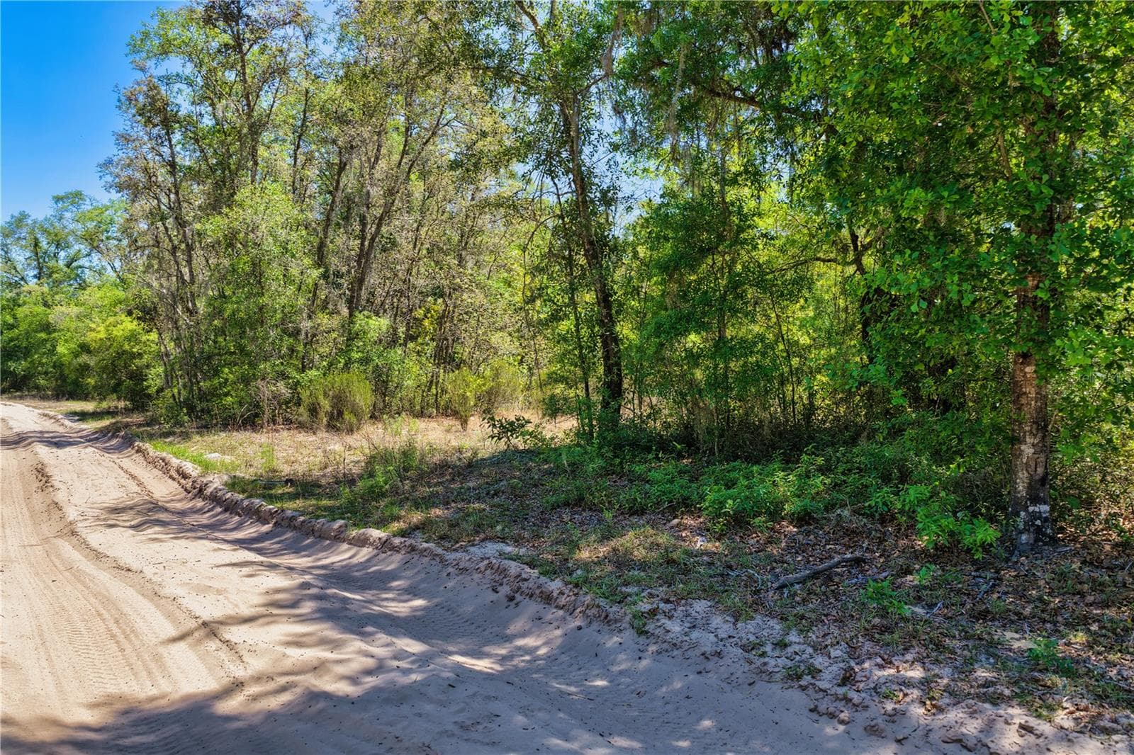 Land at 2 NE 125TH ST, BRONSON, photo 9 of 19