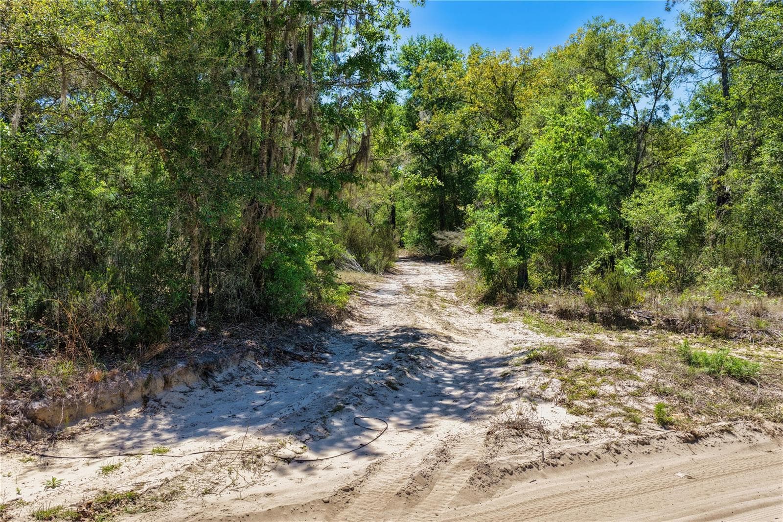 Land at 2 NE 125TH ST, BRONSON, photo 10 of 19