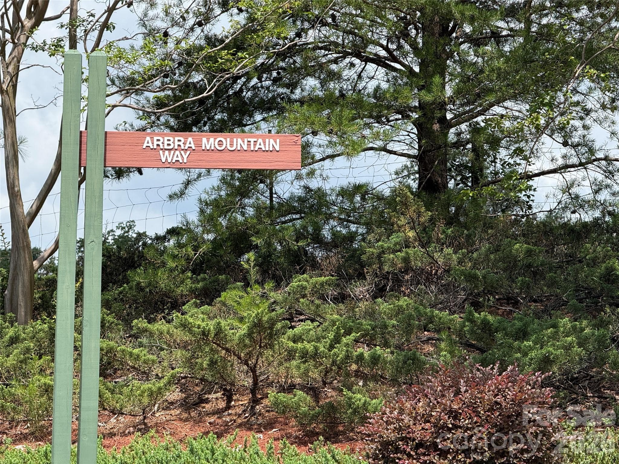 Lot at Lot 15 Arbra Mountain Way, Bostic, photo 2 of 12