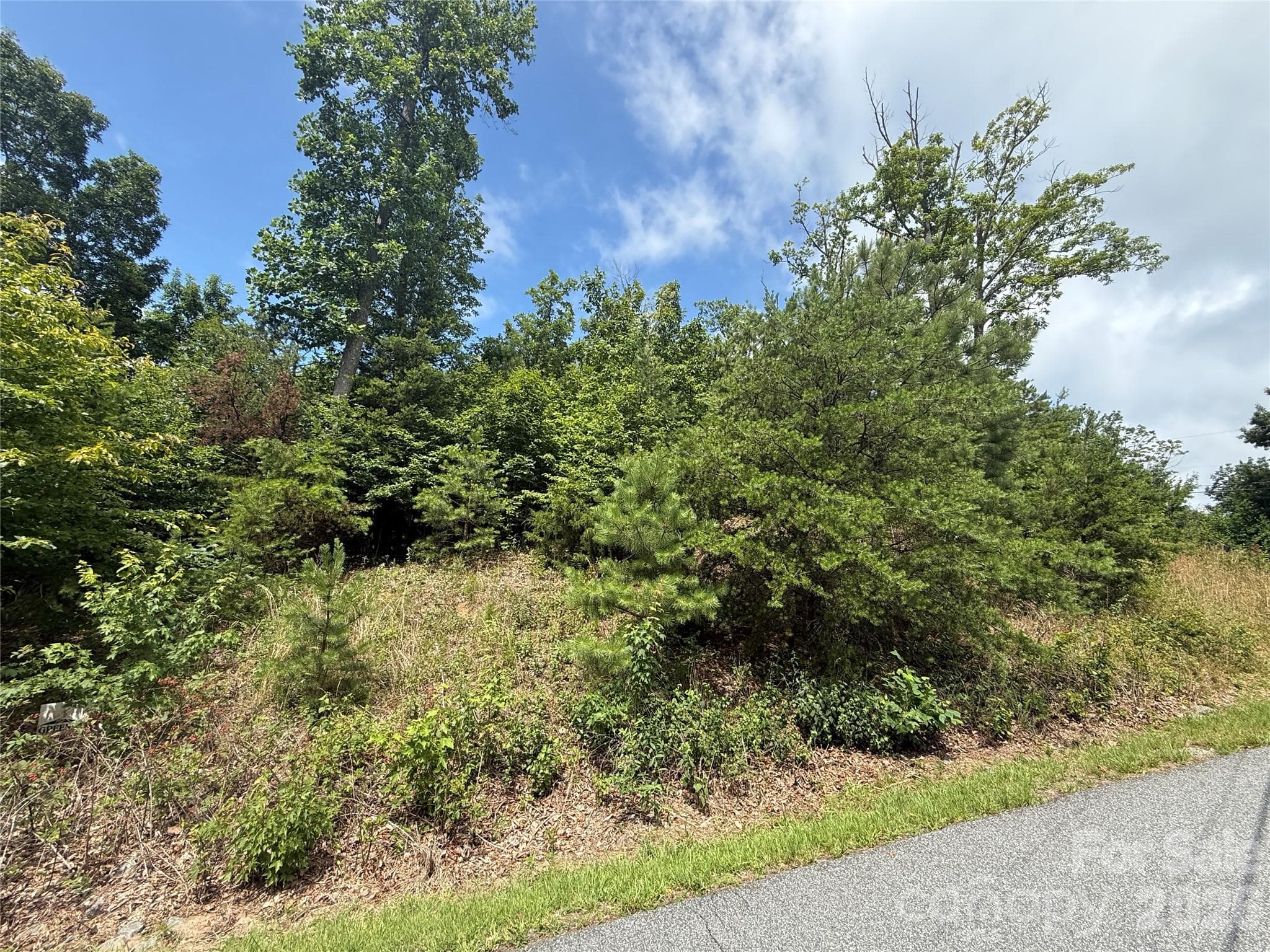 Lot at Lot 15 Arbra Mountain Way, Bostic, photo 4 of 12