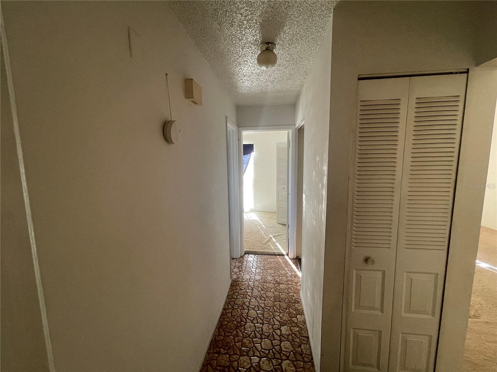 Hallway - 11001 SUNSWEPT PL, TAMPA