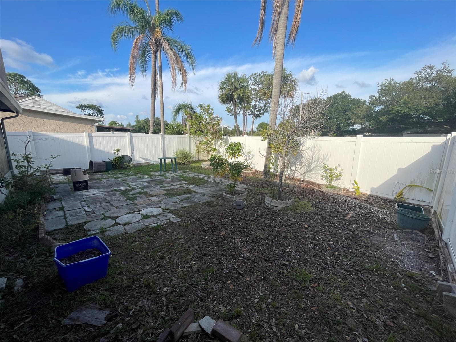 Backyard - 11001 SUNSWEPT PL, TAMPA