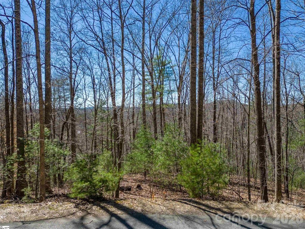 Lot at Hendersonville, photo 2 of 15
