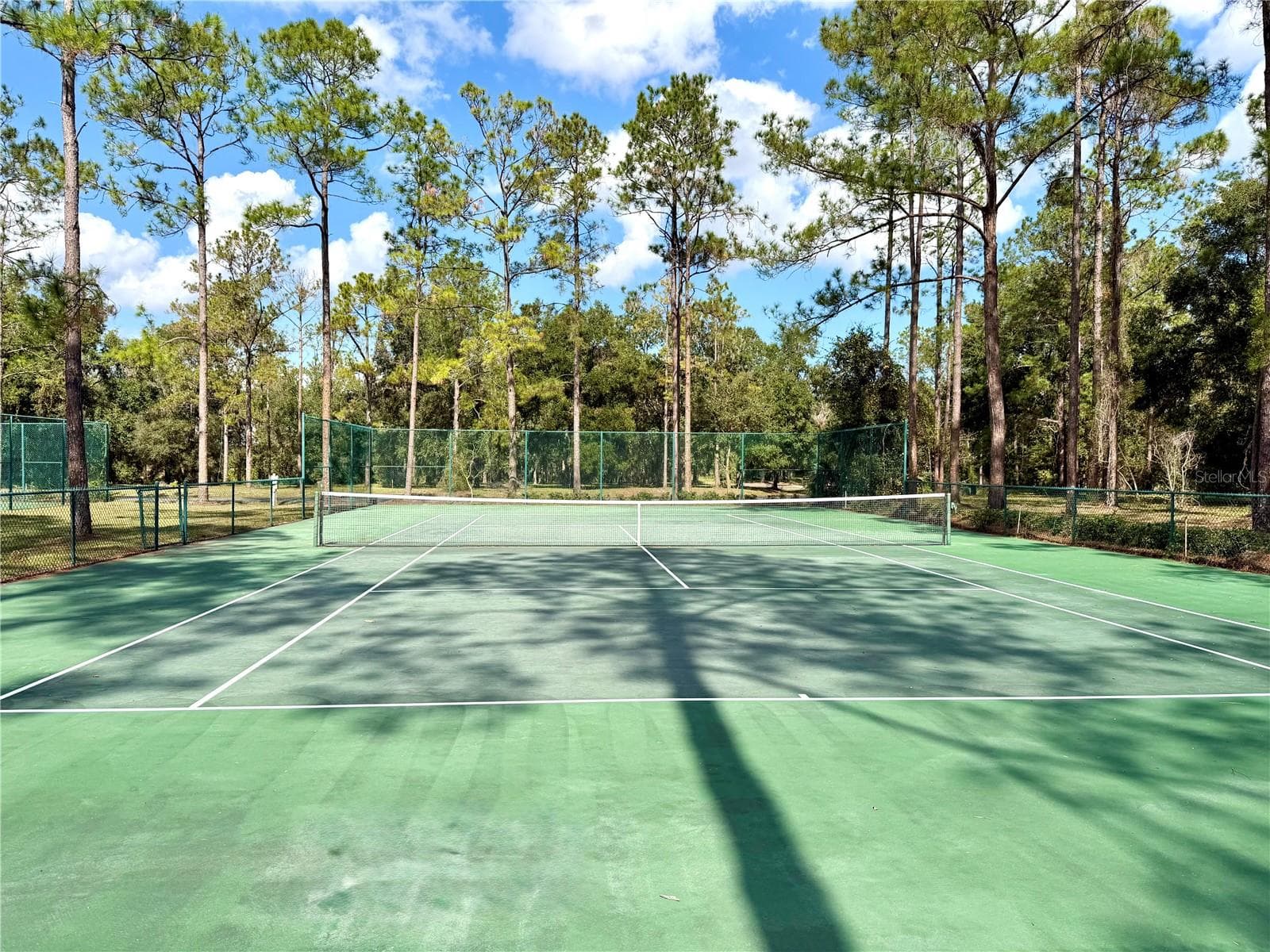 Land at BONSMARA DR, GROVELAND, photo 11 of 18