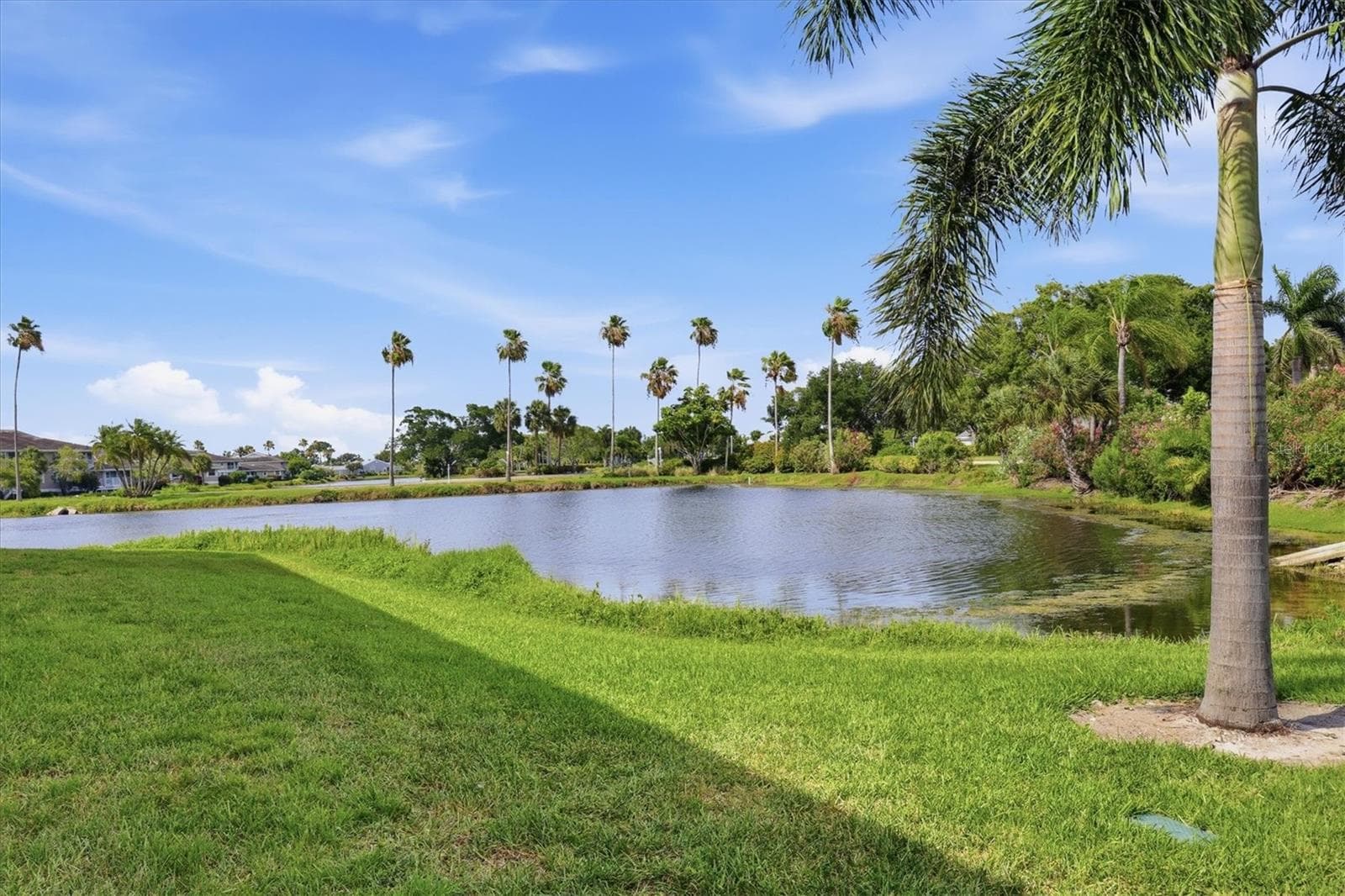 Back yard of unit - 879 AUDUBON DR #879, BRADENTON