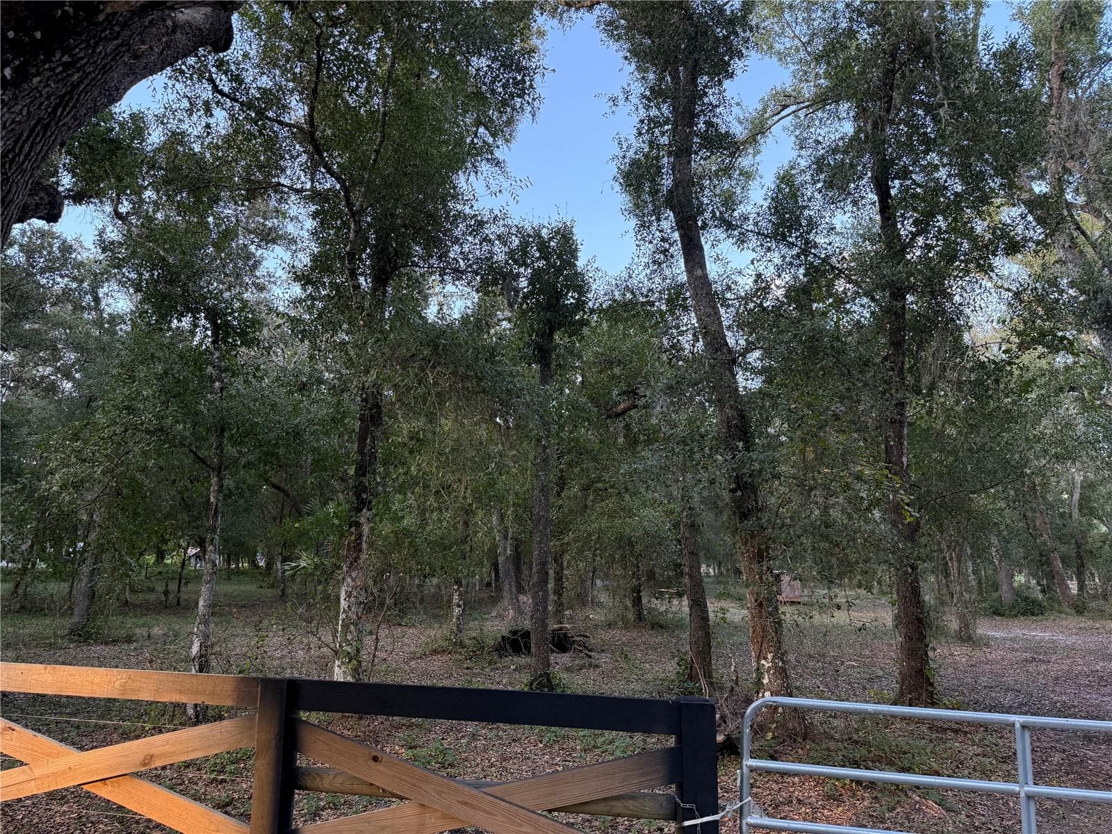 Land at SE BROWN RD, ARCADIA, photo 4 of 15