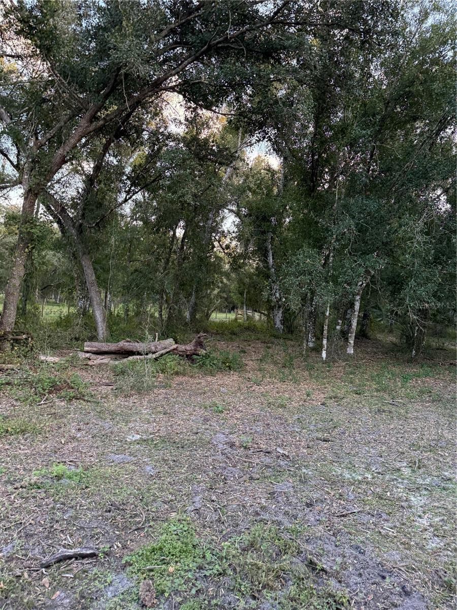 Land at SE BROWN RD, ARCADIA, photo 9 of 15