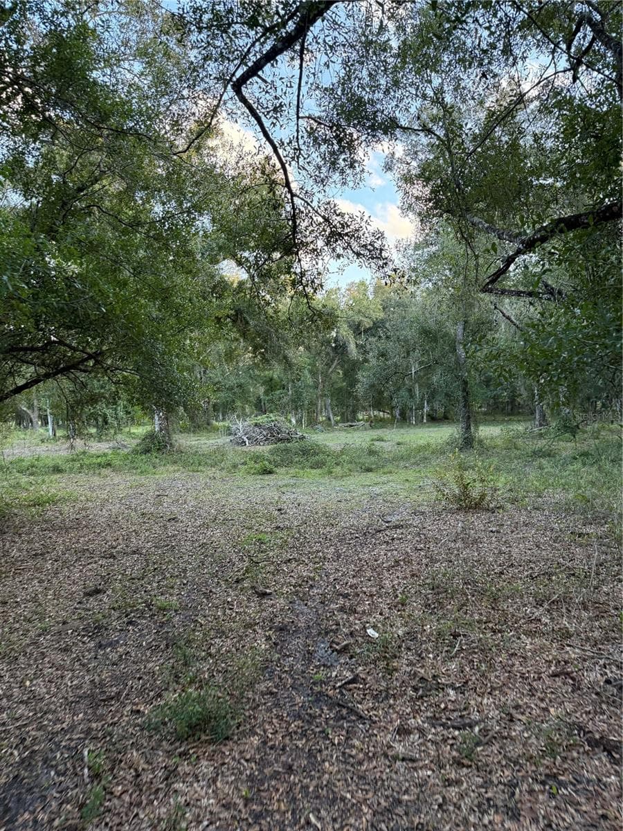 Land at SE BROWN RD, ARCADIA, photo 10 of 15