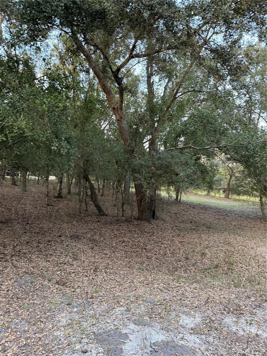 Land at SE BROWN RD, ARCADIA, photo 11 of 15