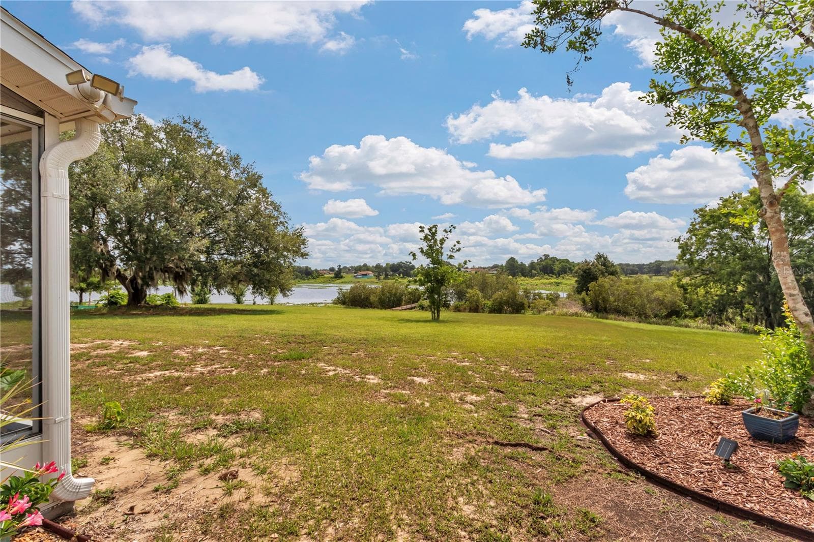 Backyard - 1111 HICKORY RD, OCALA