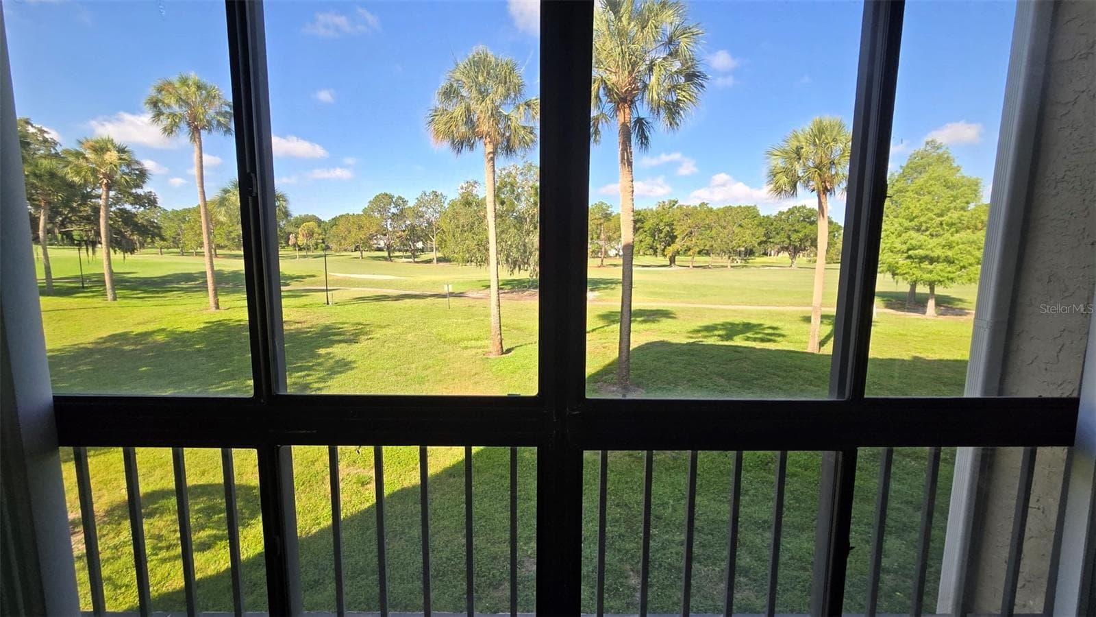 View from Livingroom - 13626 GREENFIELD DR #201, TAMPA