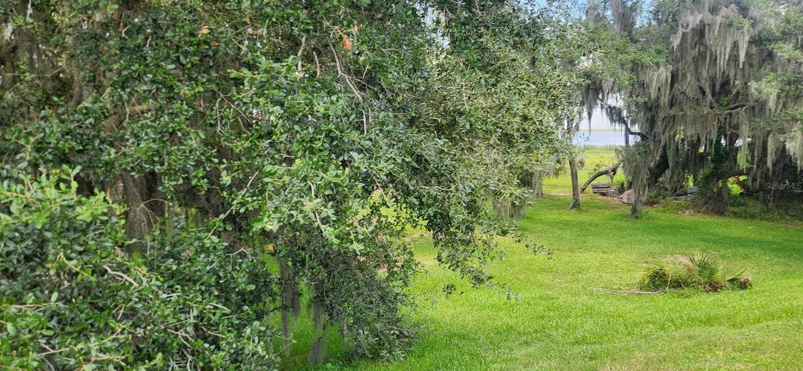 Land at 3316 FISH HAWK DR, POLK CITY, photo 7 of 24