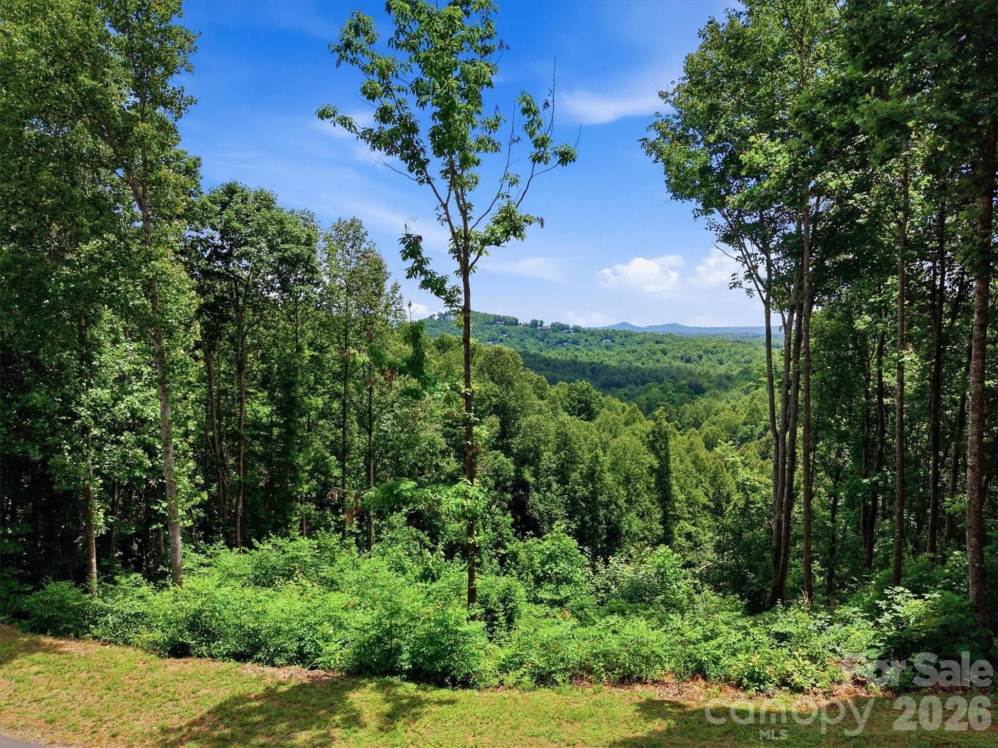 Lot at 1288 Johns Ridge Parkway, Lenoir, photo 4 of 33