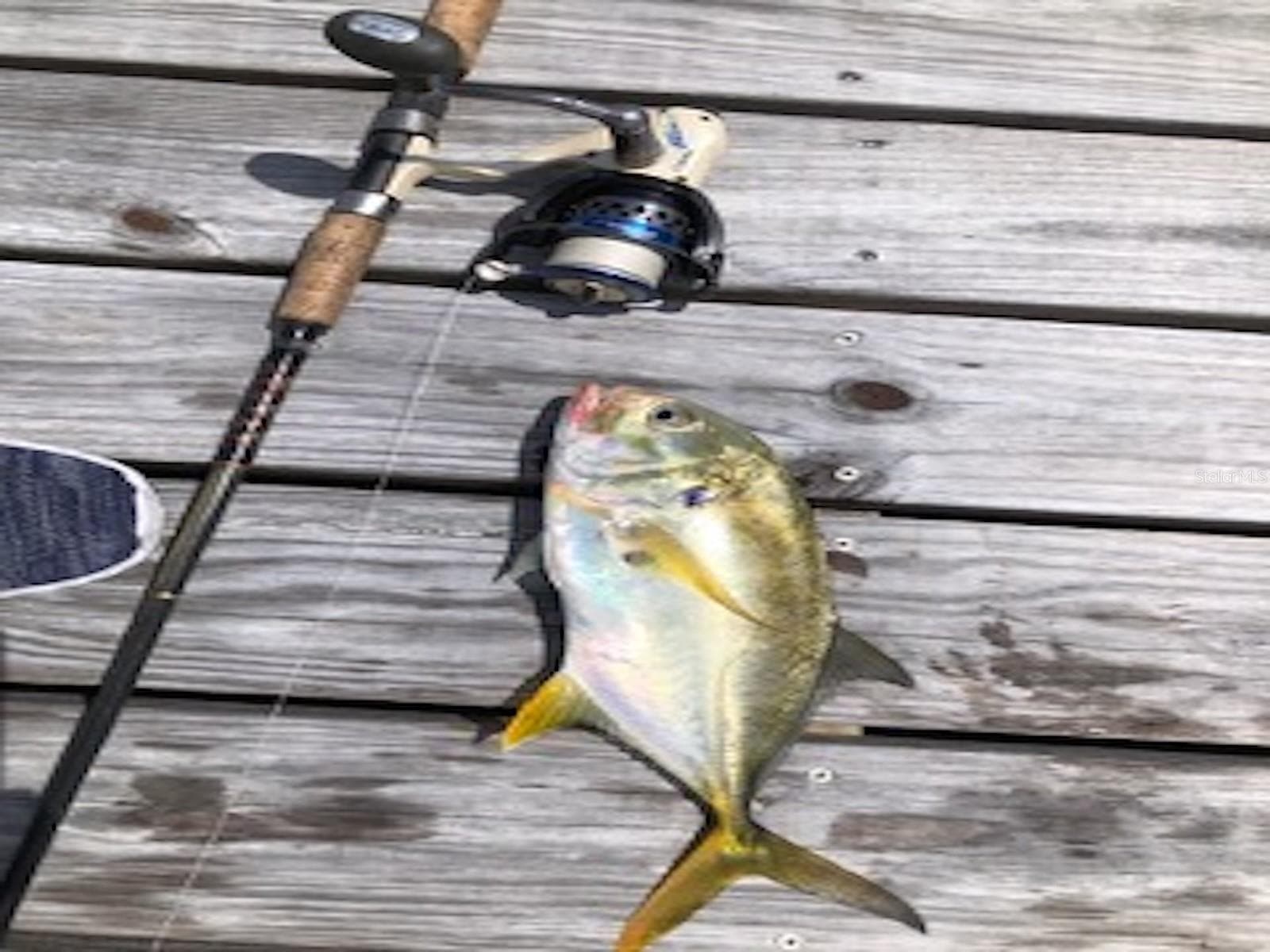 Caught from the dock of Lot 6 Riverfront Dr - 0 RIVERFRONT DR #Lot 6, VENICE