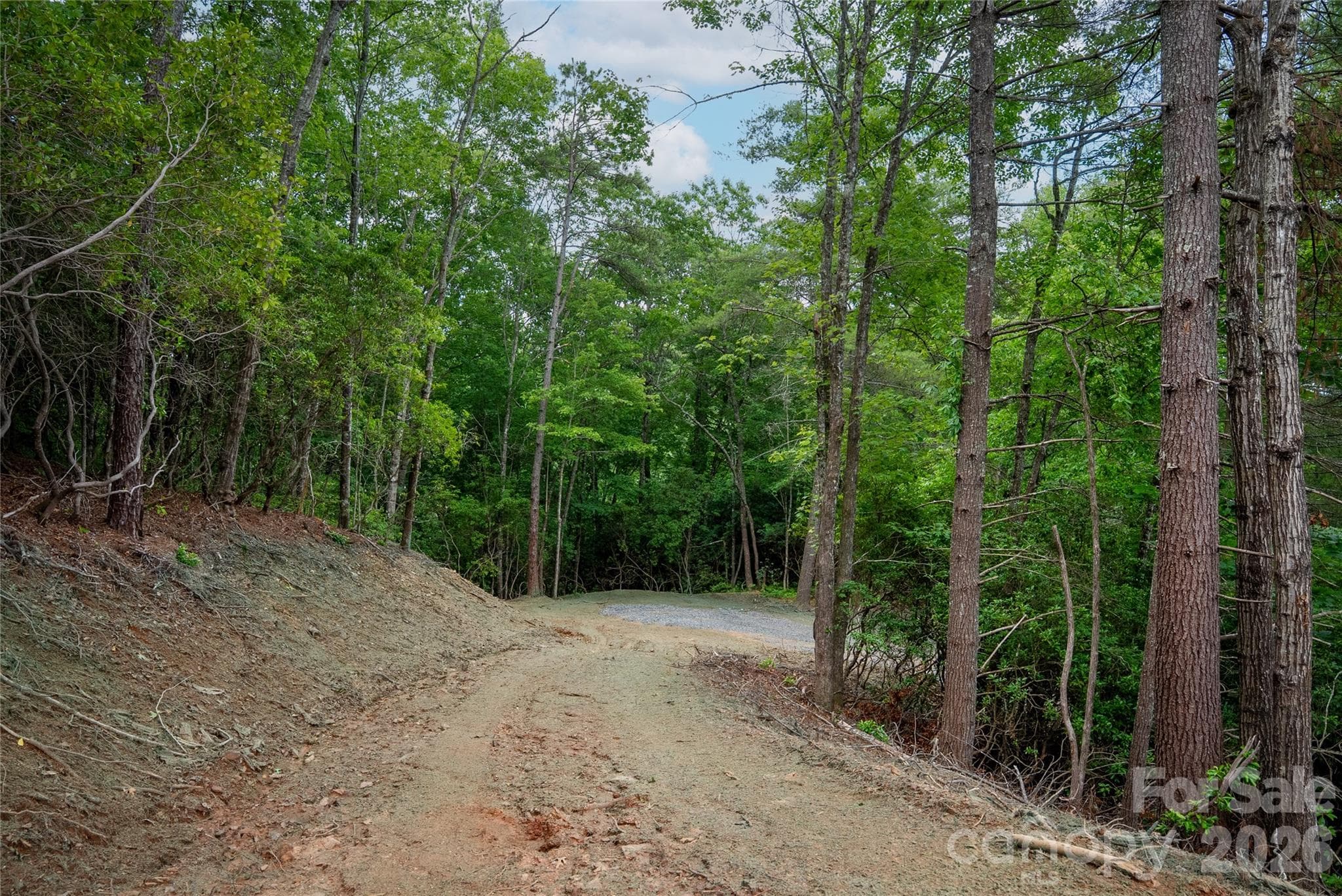 Lot at TBD Cherryfield Loop Road, Brevard, photo 8 of 15