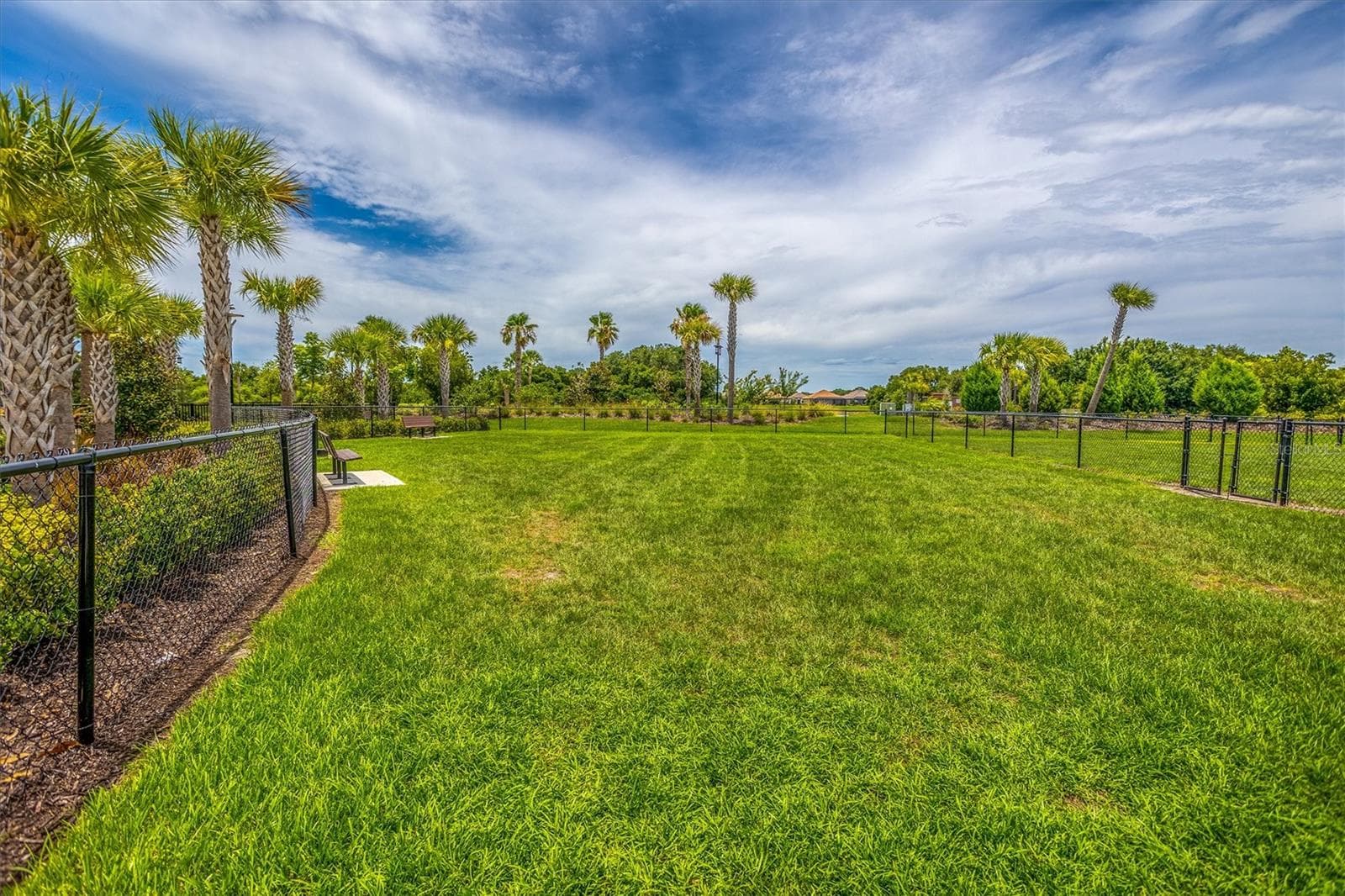 Dog Park- Some for Big & Small/Medium Sized Dogs - 5718 LOS ROBLES CT, PALMETTO