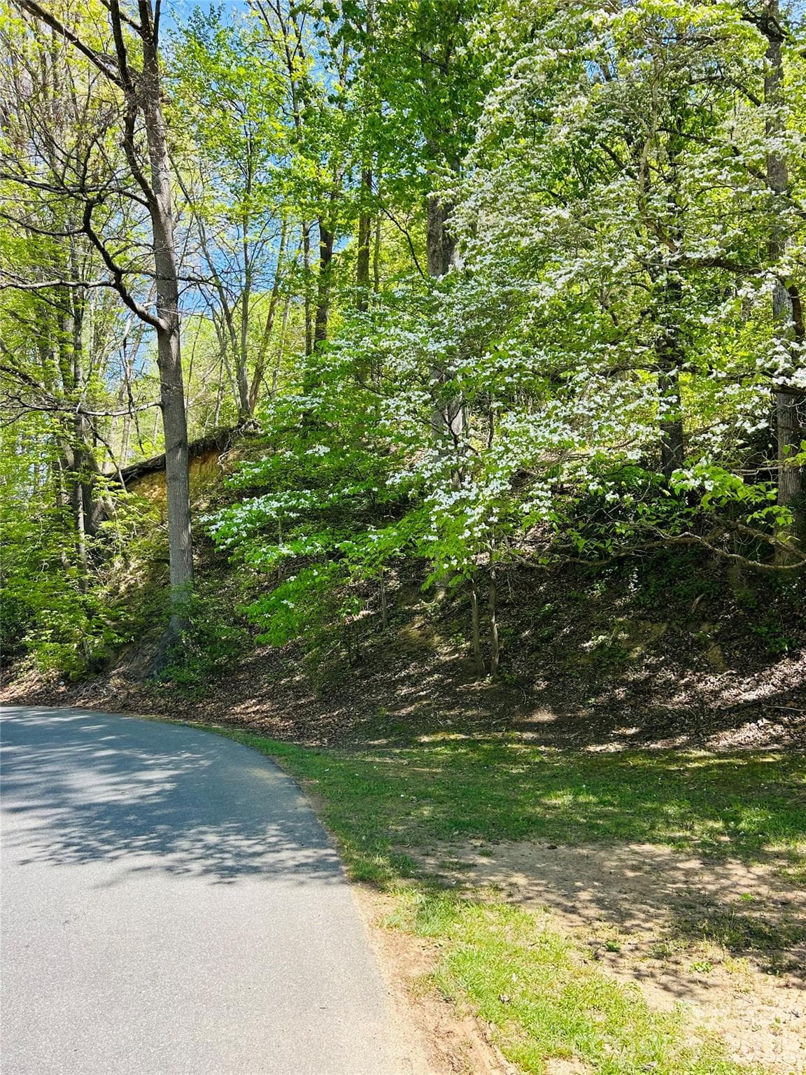 Lot at 128 W Orchard Street, Old Fort, photo 3 of 6