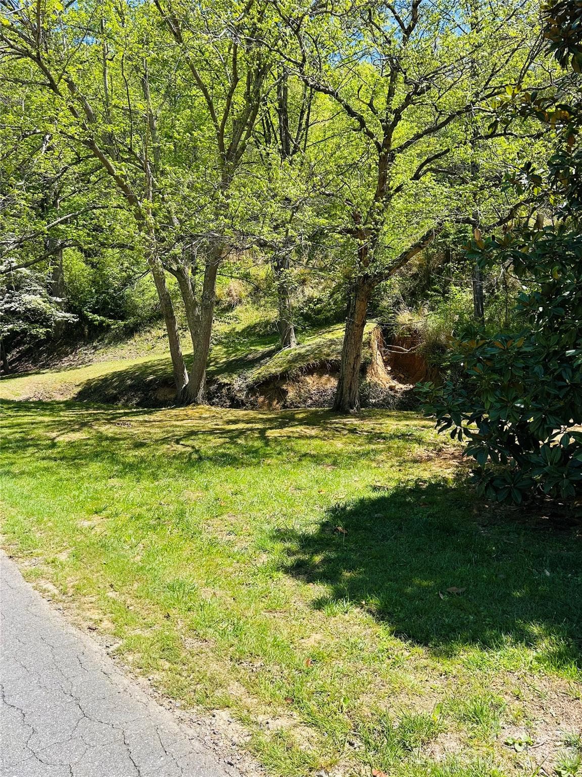 Lot at 128 W Orchard Street, Old Fort, photo 4 of 6