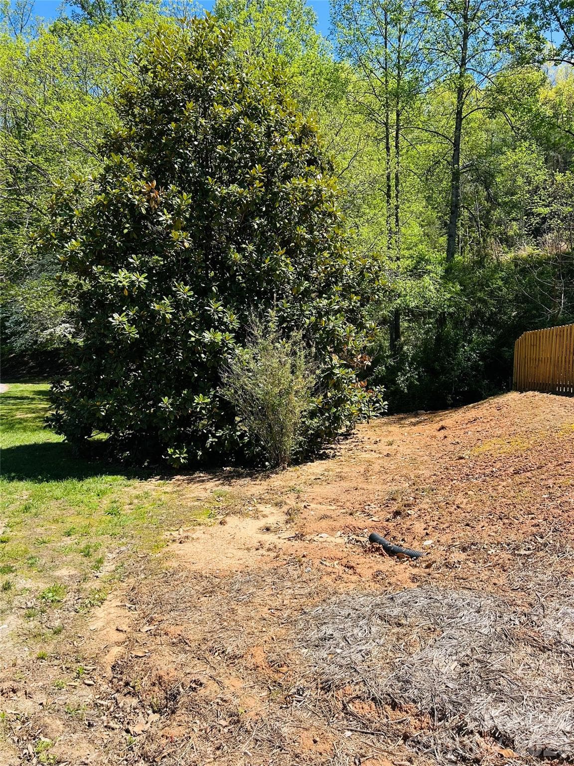 Lot at 128 W Orchard Street, Old Fort, photo 5 of 6