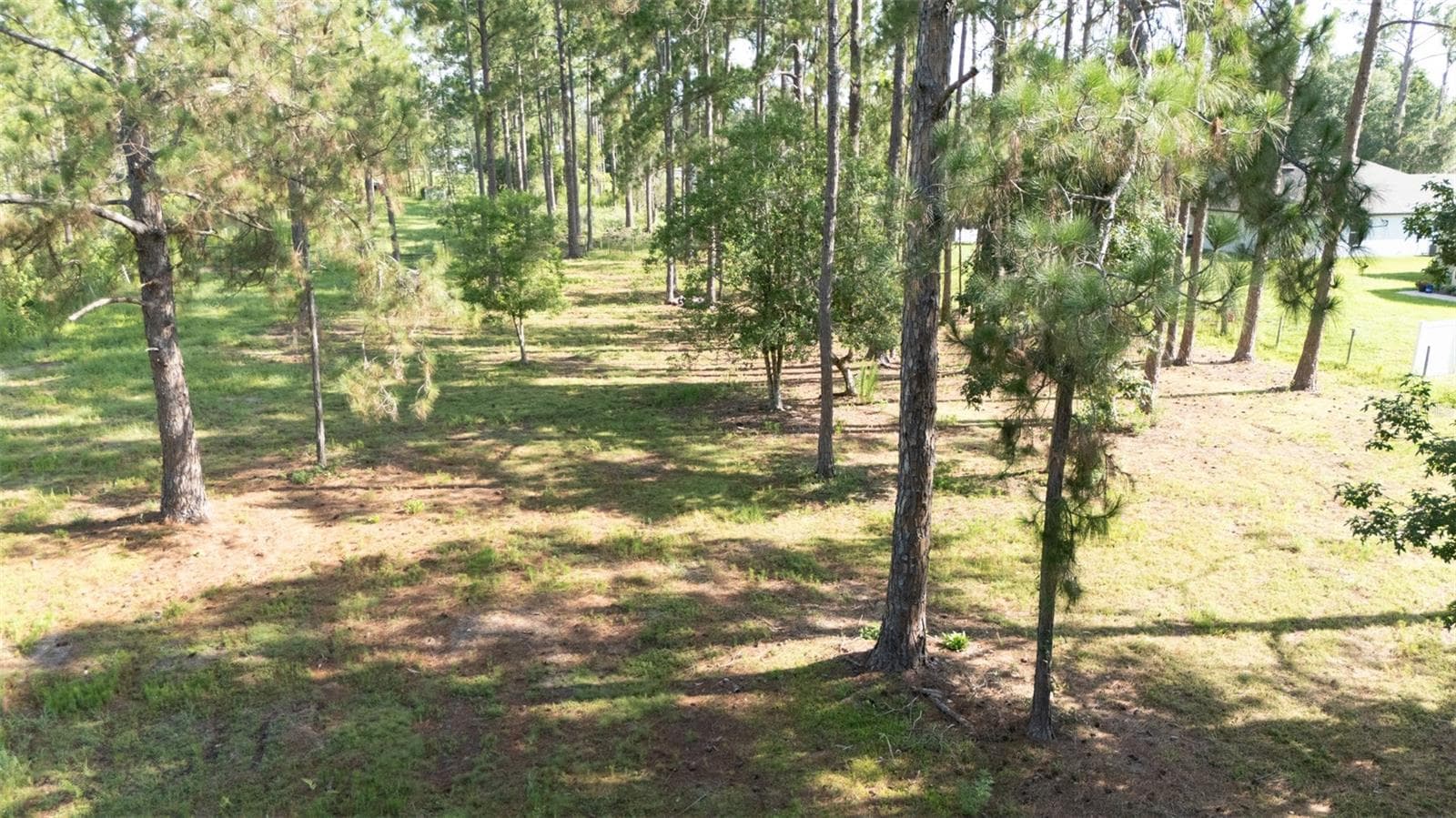 Land at NO STREET, DELAND, photo 4 of 10
