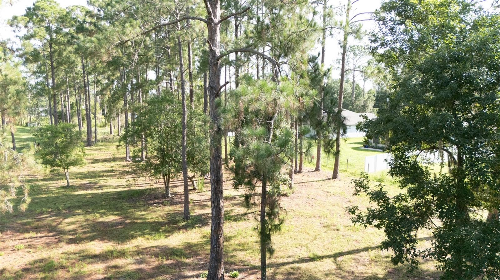 Land at NO STREET, DELAND, photo 5 of 10