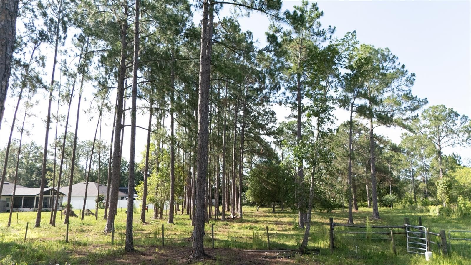 Land at NO STREET, DELAND, photo 8 of 10