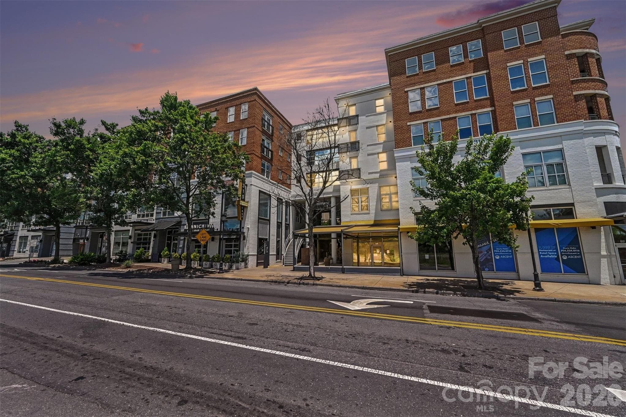 Condominium at 1315 East Boulevard, Charlotte, photo 2 of 27