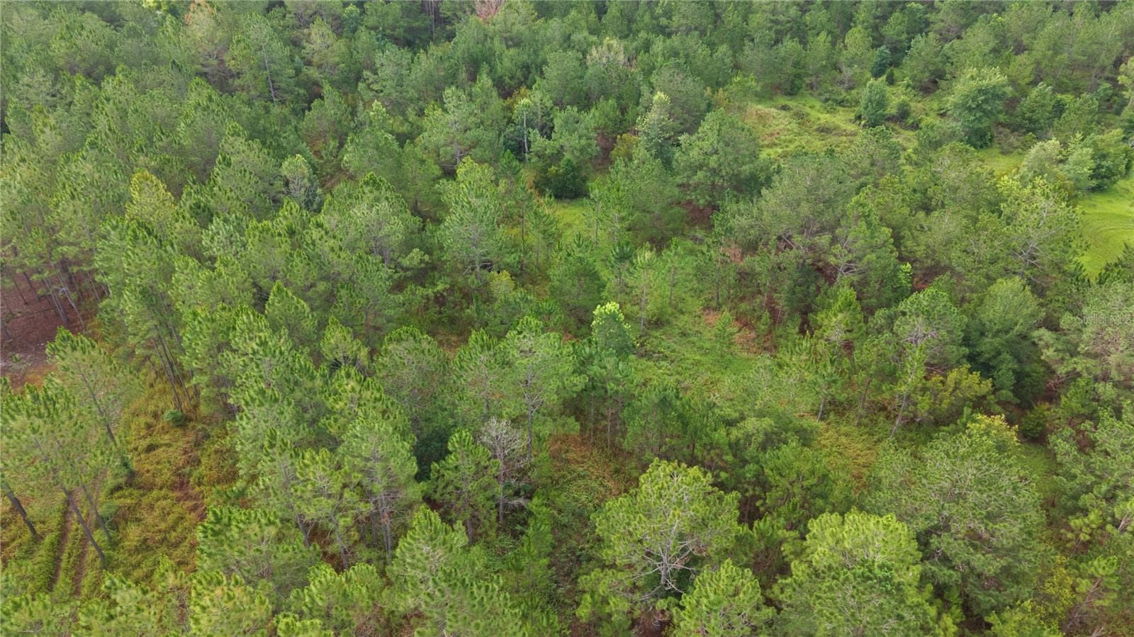 Land at NE US HIGHWAY 301, HAWTHORNE, photo 19 of 25