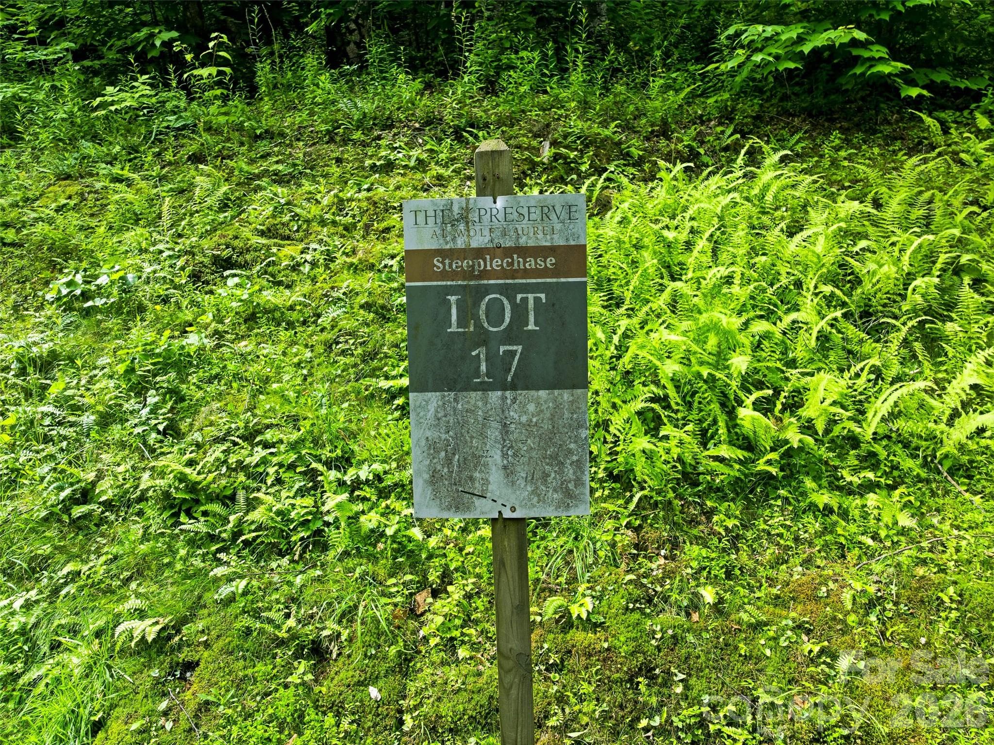 Lot at Mars Hill, photo 2 of 18