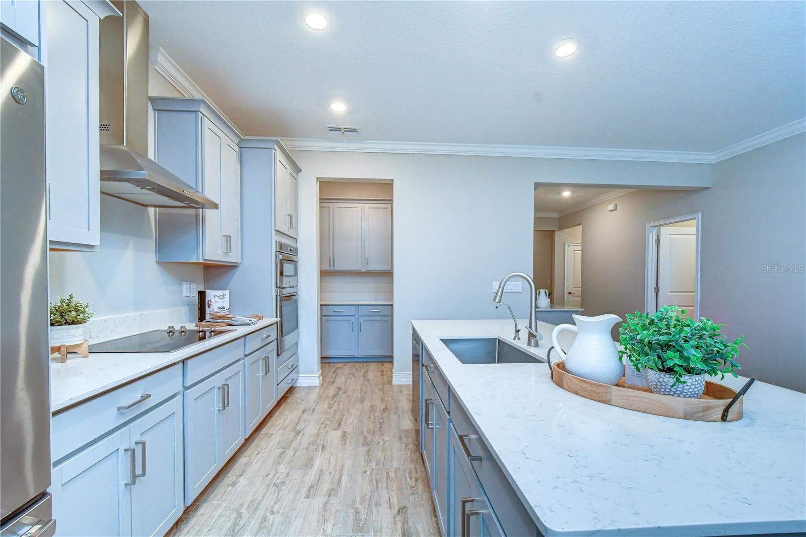 Single Family Residence at 21534 VIOLET PERIWINKLE DR, LAND O LAKES, photo 10 of 28