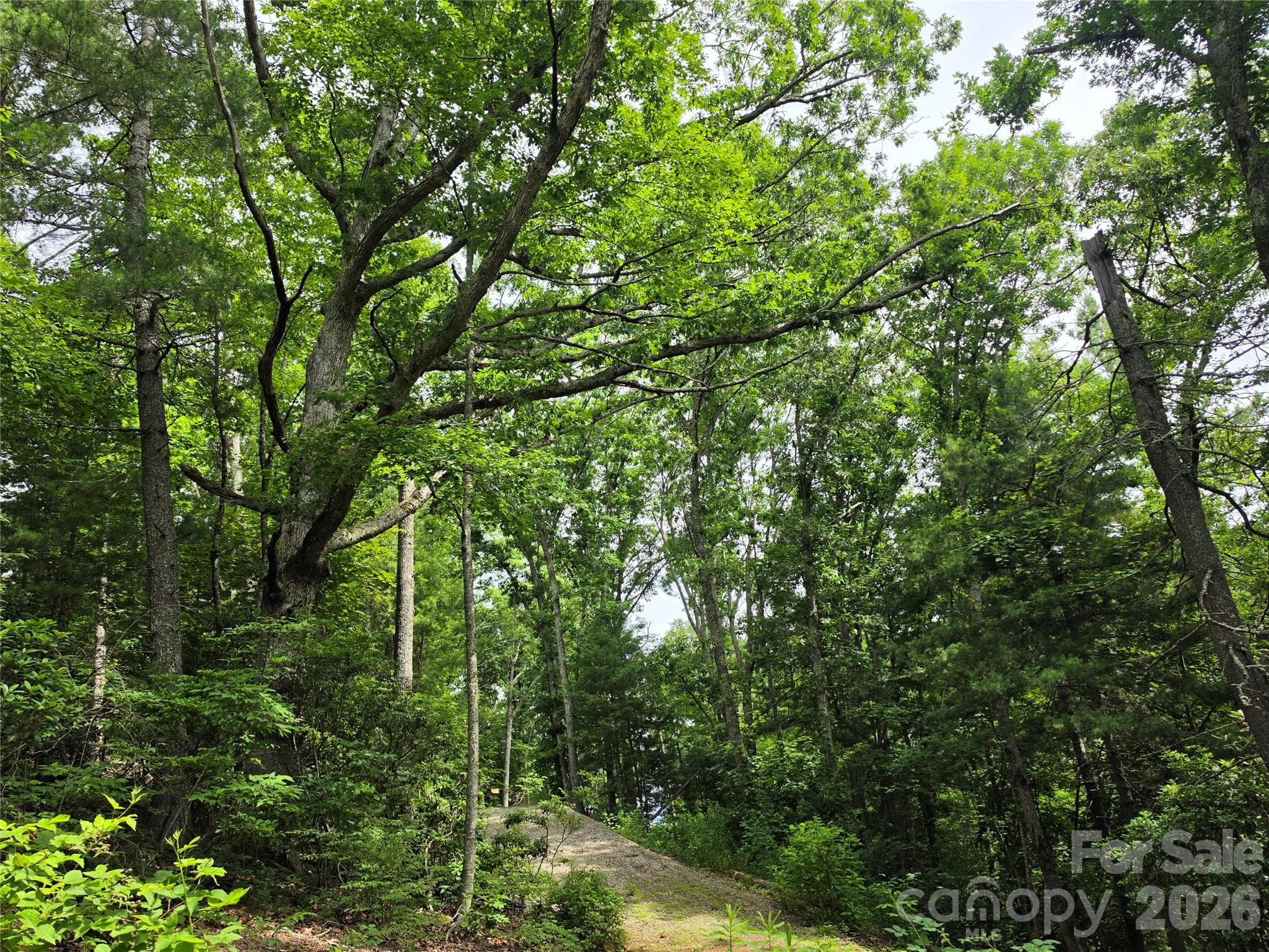 Driveway coming into the site. - 9999 Fairview Forest Drive, Fairview