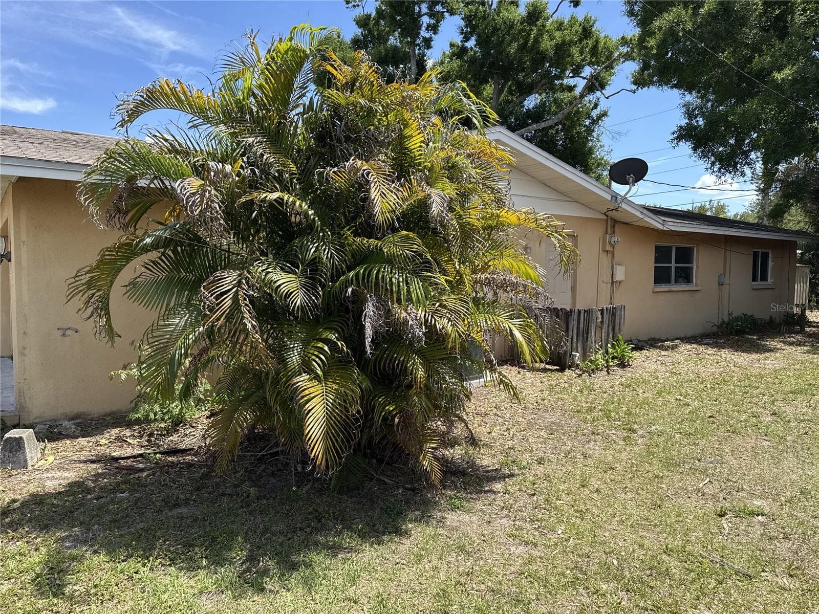 YARD - 3234 DANTE DR, SARASOTA