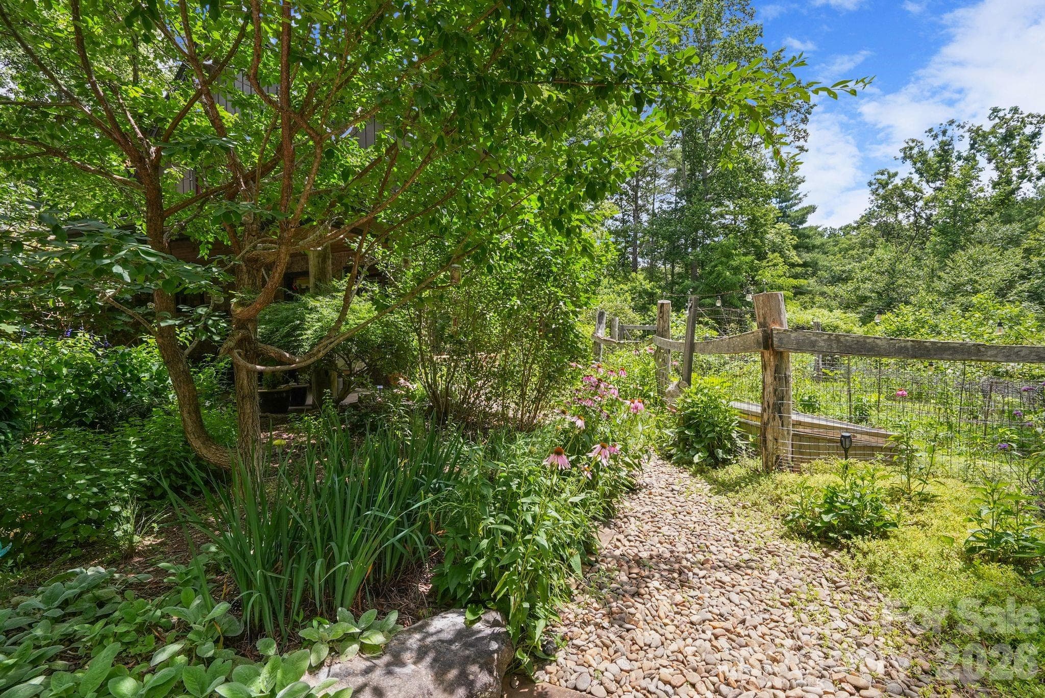 mature landscaping - 24 Merriwood Trail, Arden