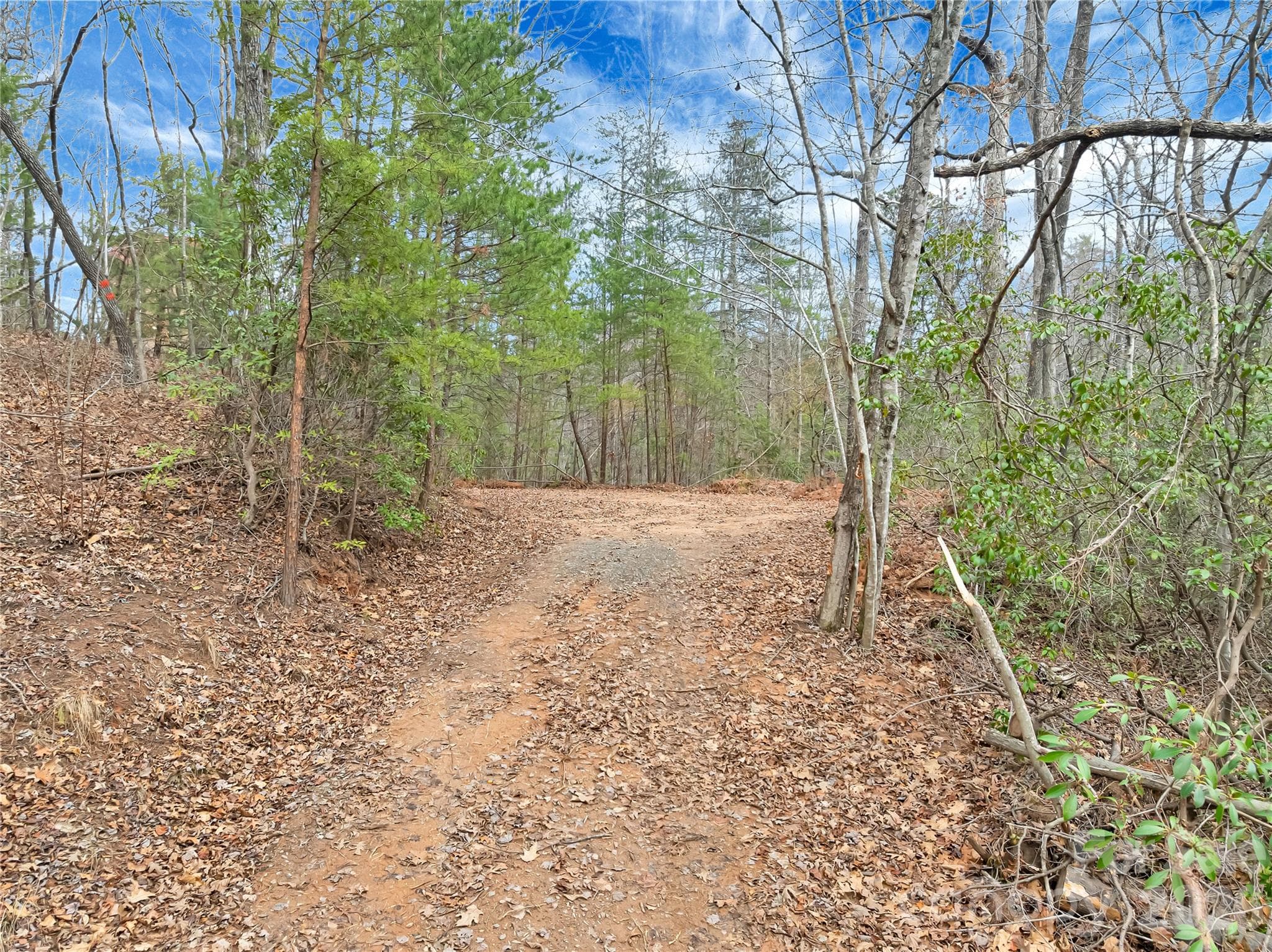 TBD Deep Woods Lane