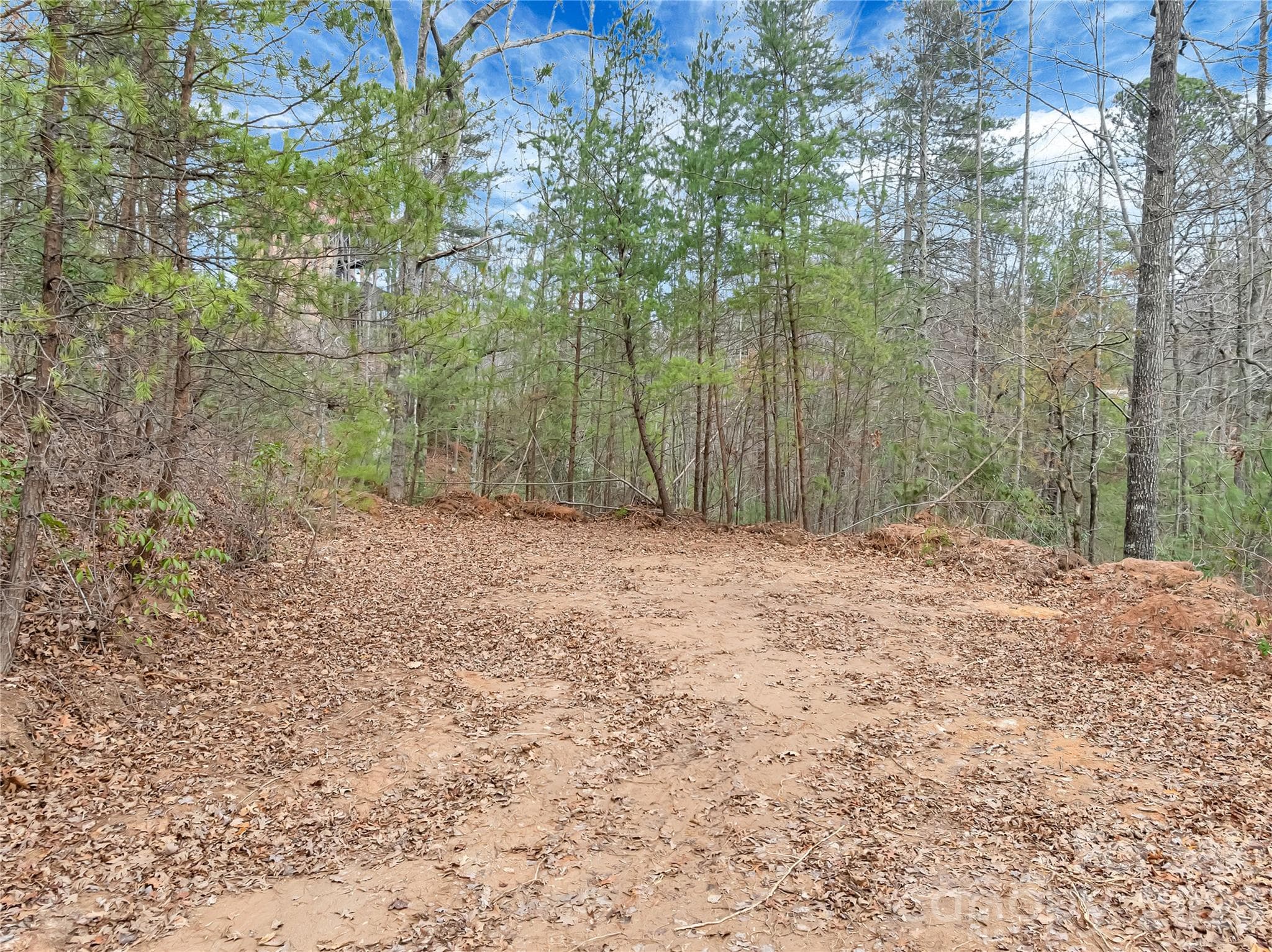 Lot at TBD Deep Woods Lane, Saluda, photo 2 of 10