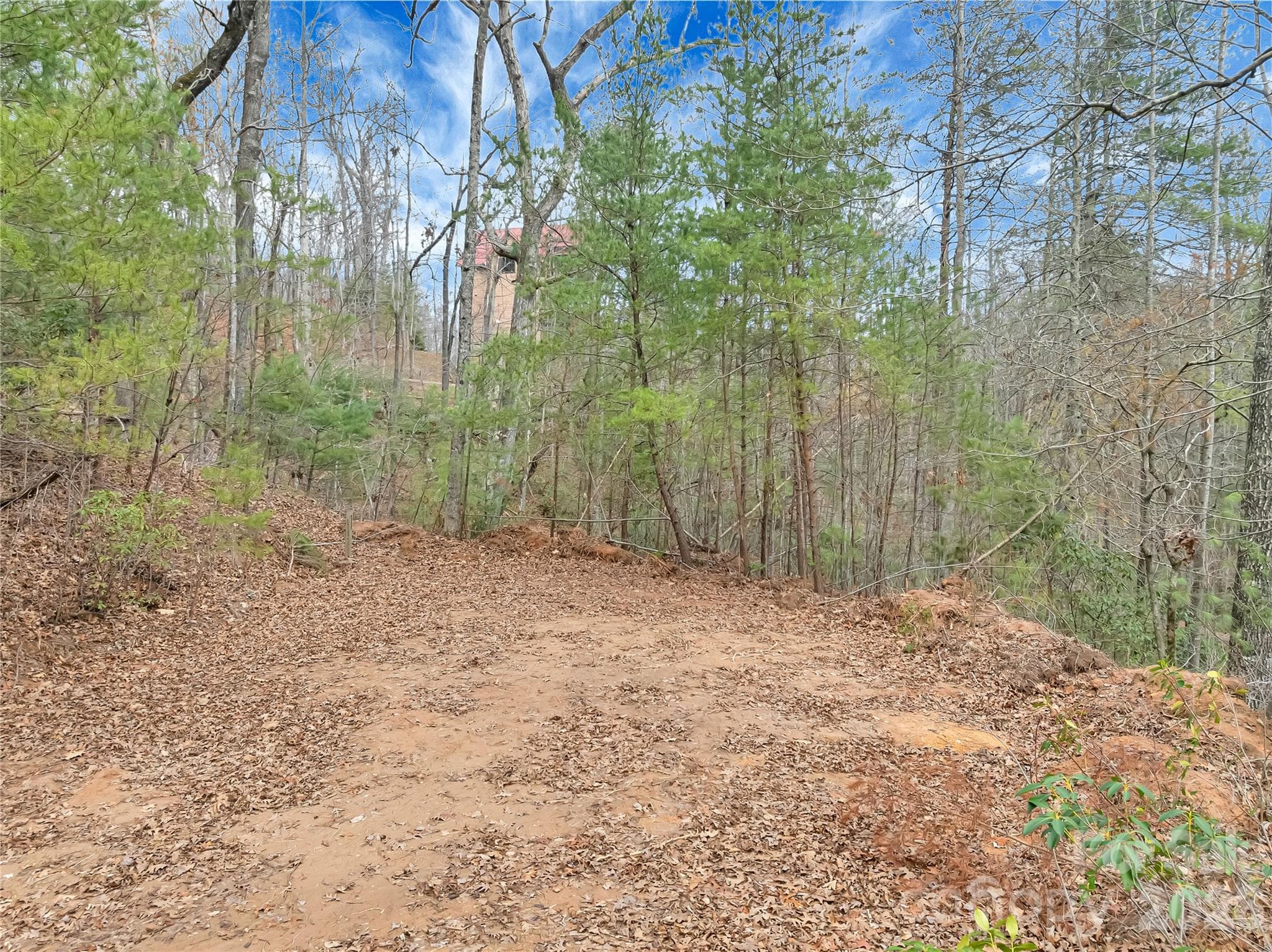 Lot at TBD Deep Woods Lane, Saluda, photo 3 of 10