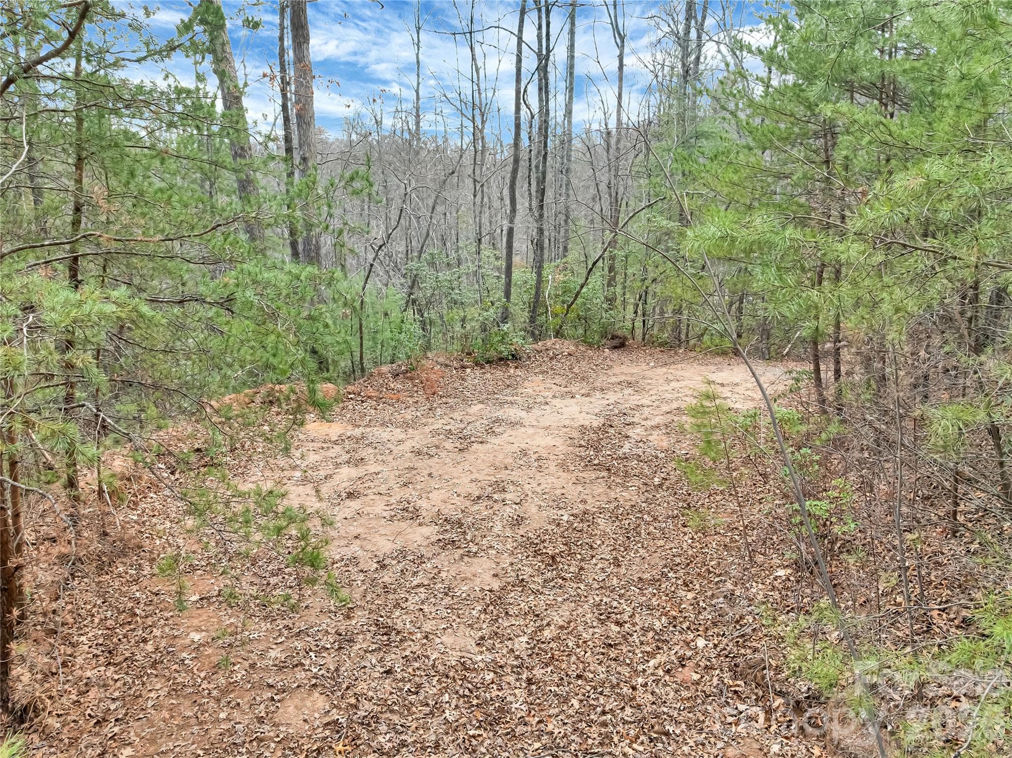 Lot at TBD Deep Woods Lane, Saluda, photo 4 of 10