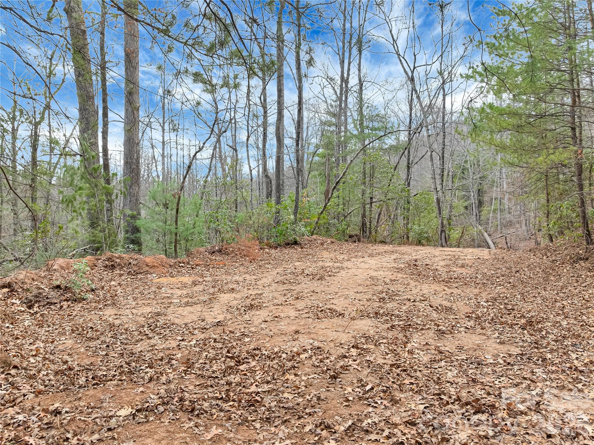 Lot at TBD Deep Woods Lane, Saluda, photo 5 of 10