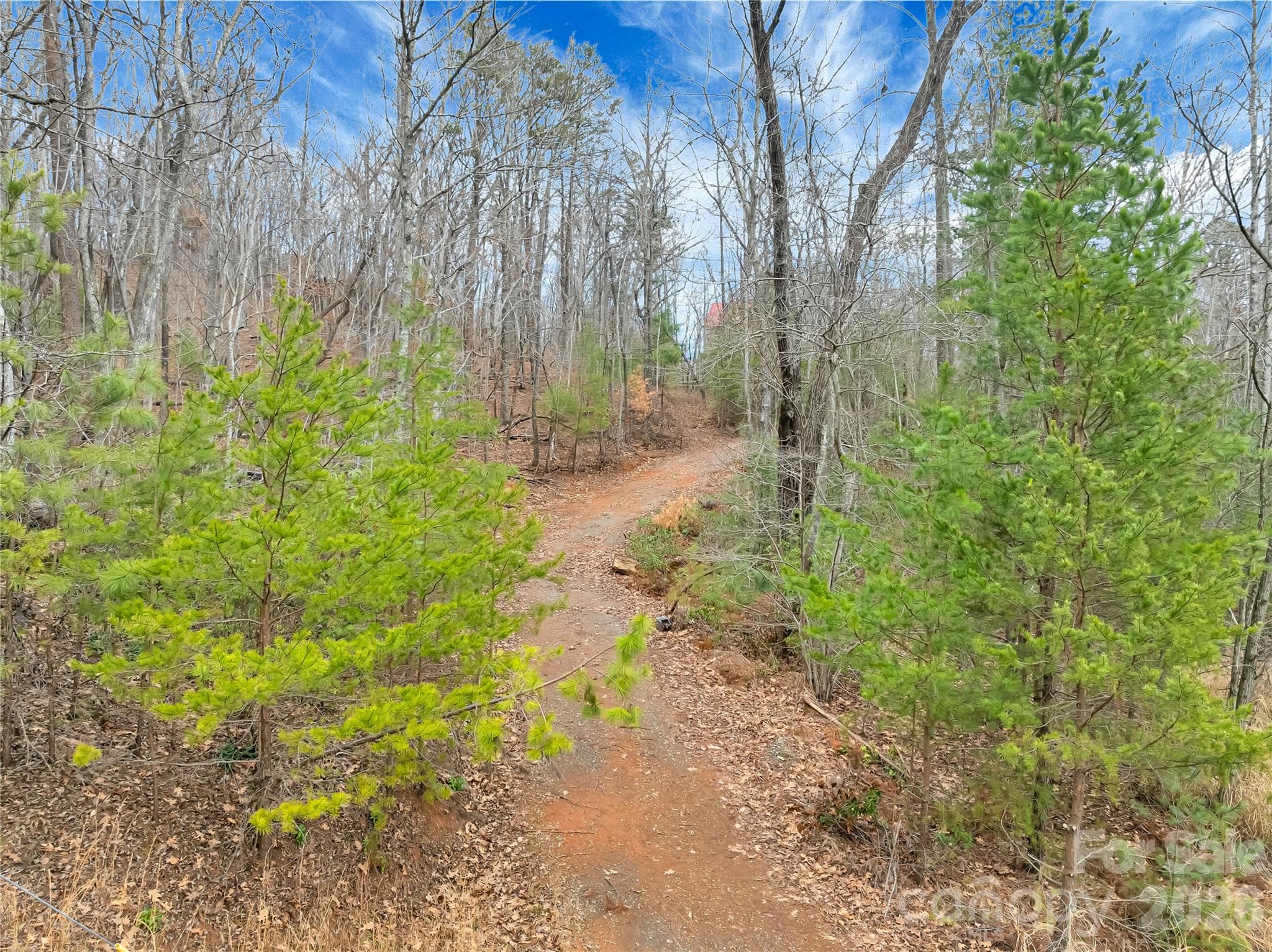 Lot at TBD Deep Woods Lane, Saluda, photo 6 of 10