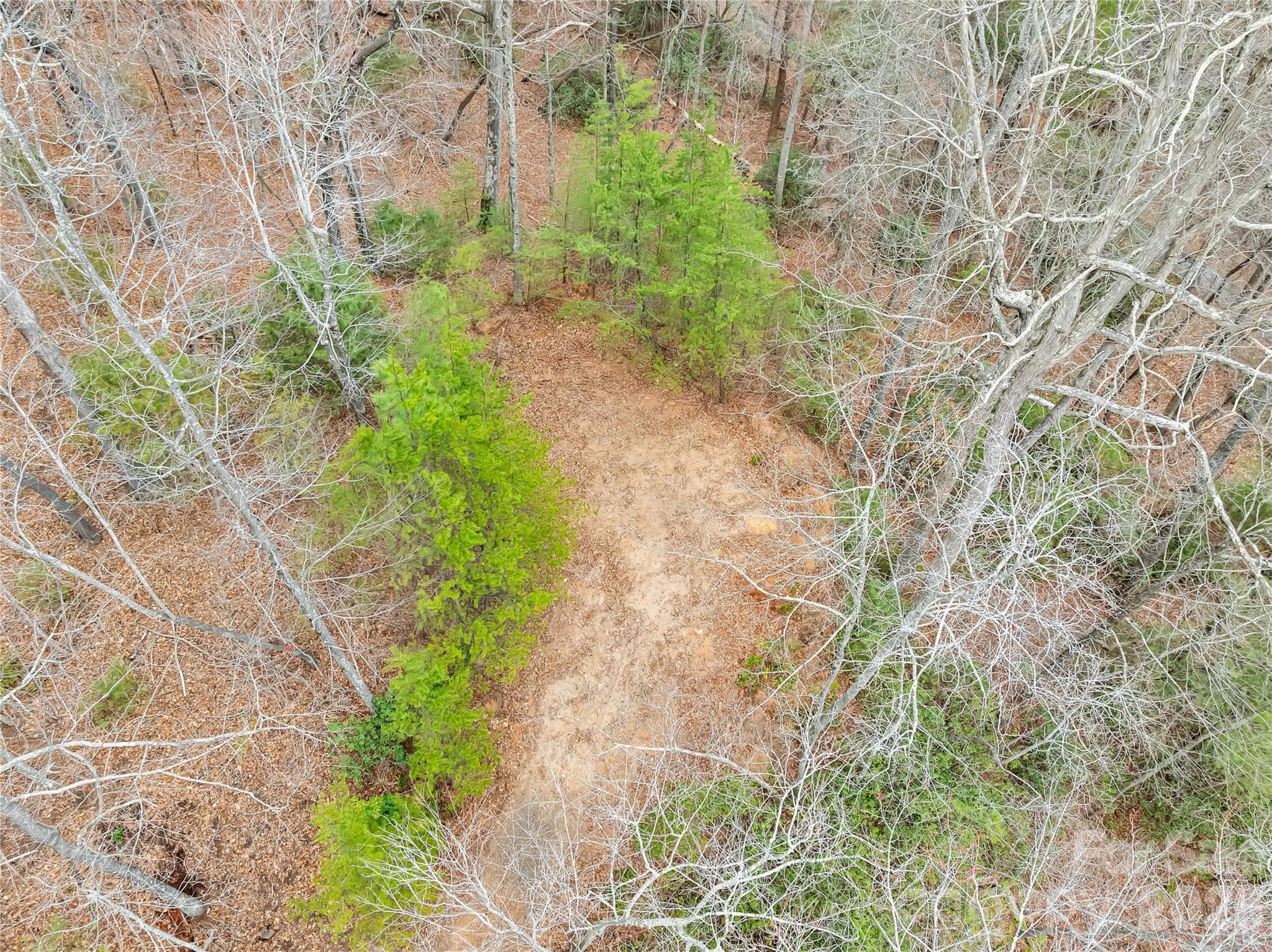 Lot at TBD Deep Woods Lane, Saluda, photo 7 of 10